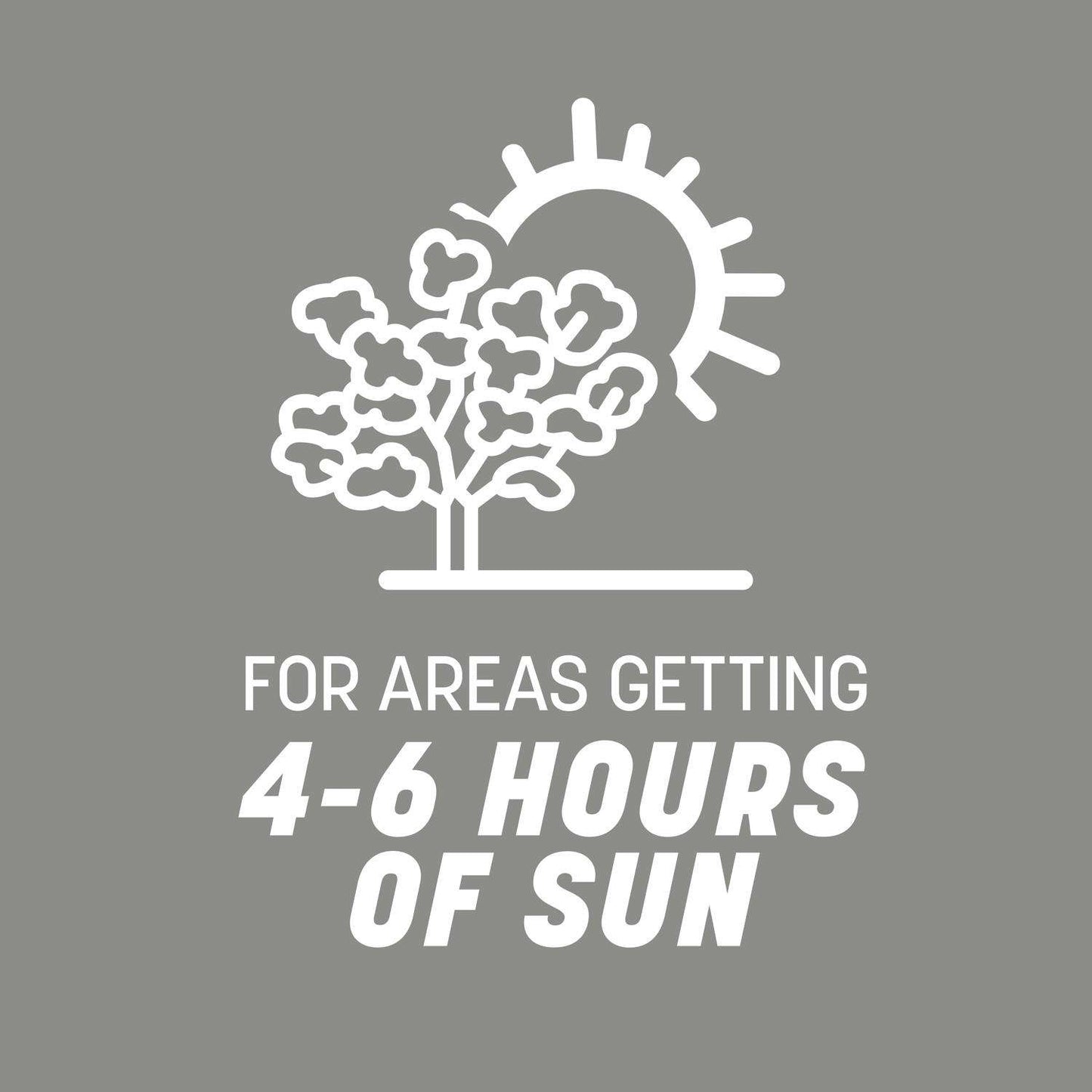  Pennington Contractors Mix Sun Or Shade Grass Seed 20 Lb