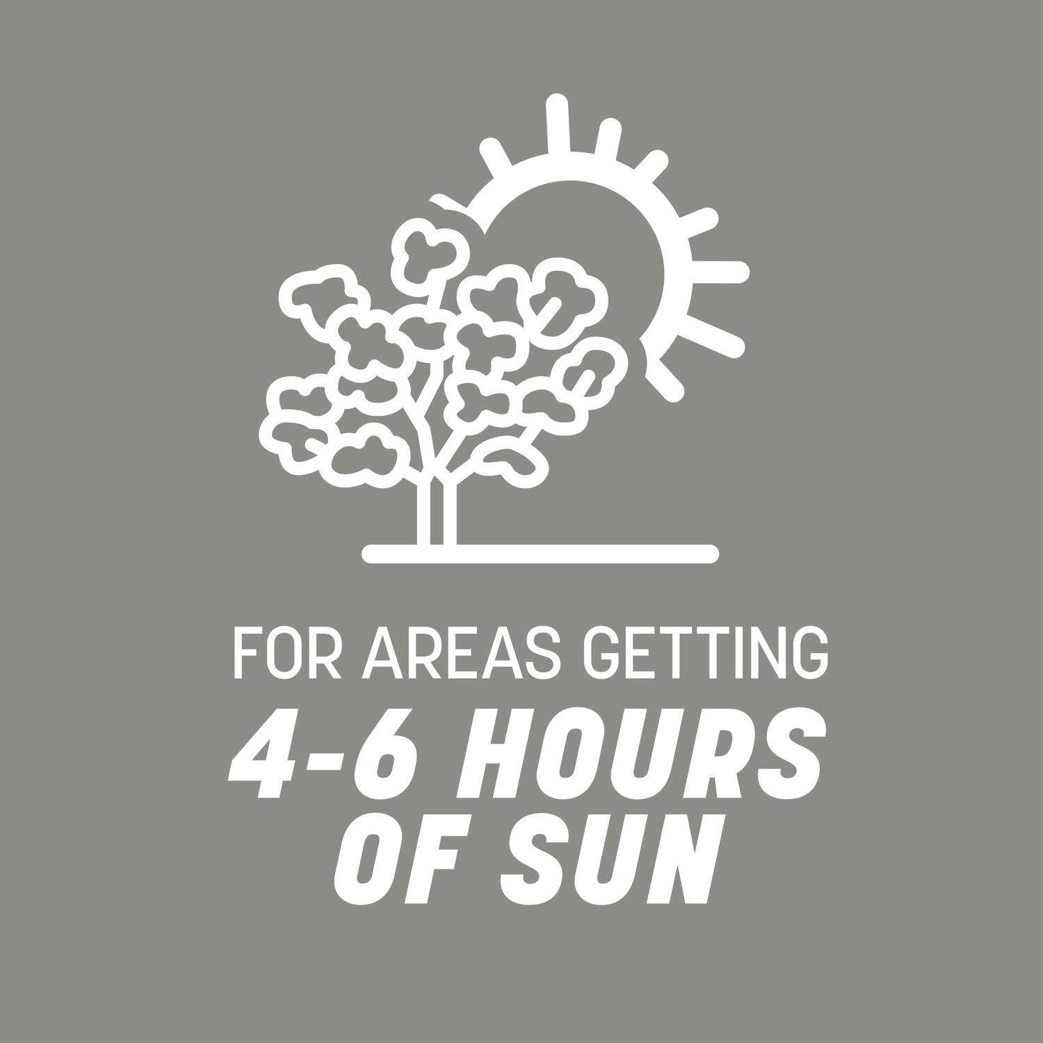  Pennington Contractors Mix Sun Or Shade Grass Seed 20 Lb