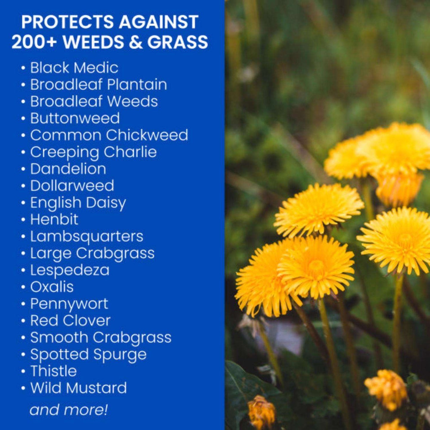  BioAdvanced Weed And Crabgrass Killer RTU Liquid 1 Gal