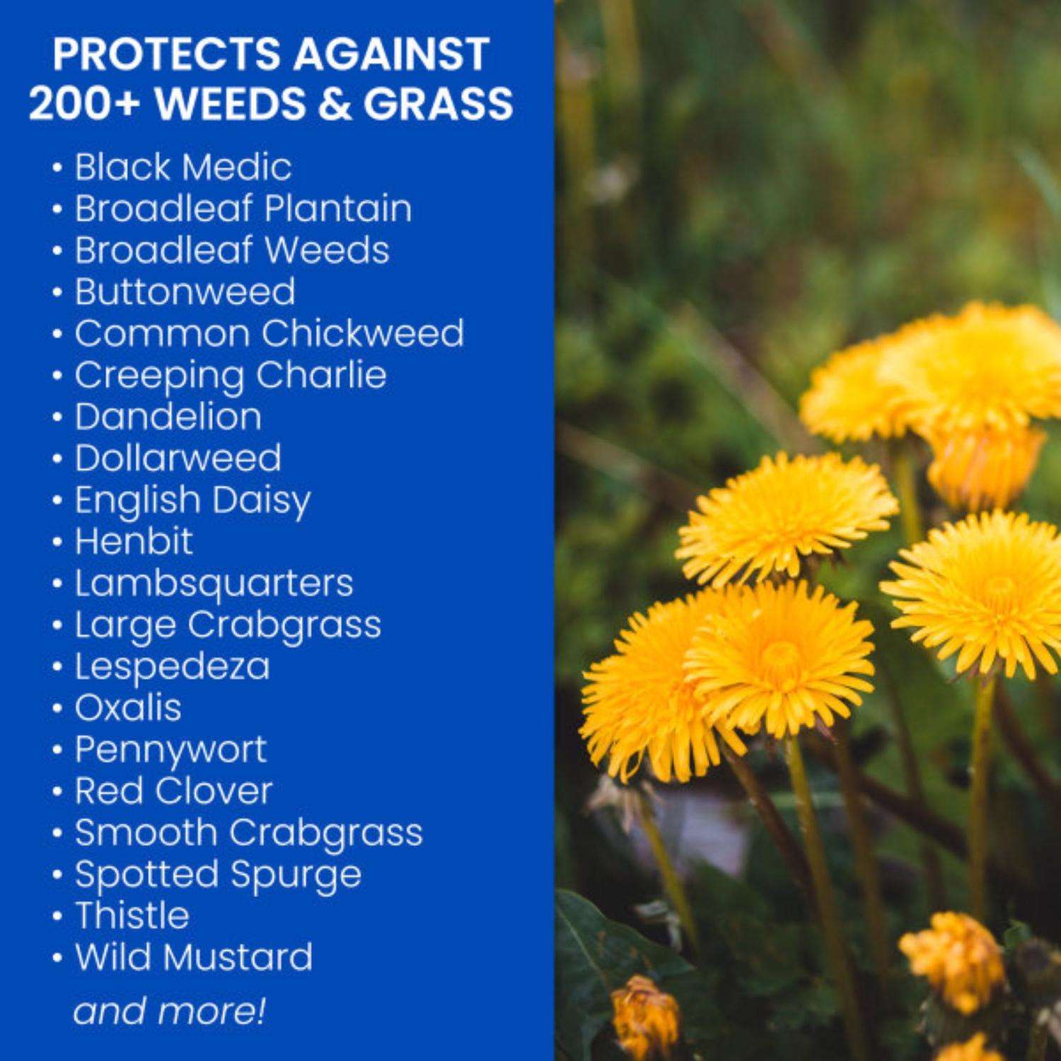  BioAdvanced Weed And Crabgrass Killer RTU Liquid 1 Gal