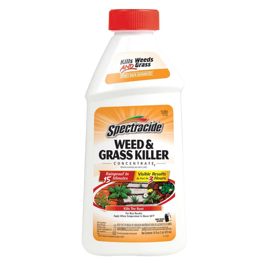  Spectracide Weed And Grass Killer Concentrate 16 Oz