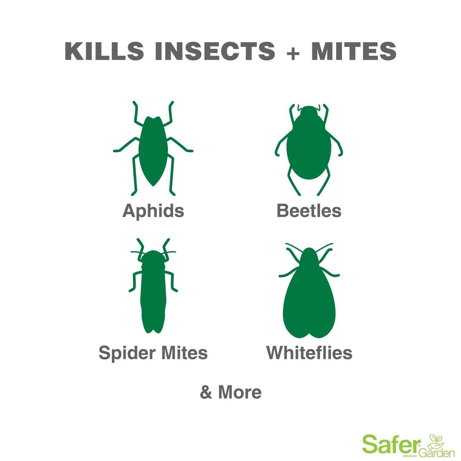  Safer Brand Organic Liquid Disease/Insect Control 24 Oz