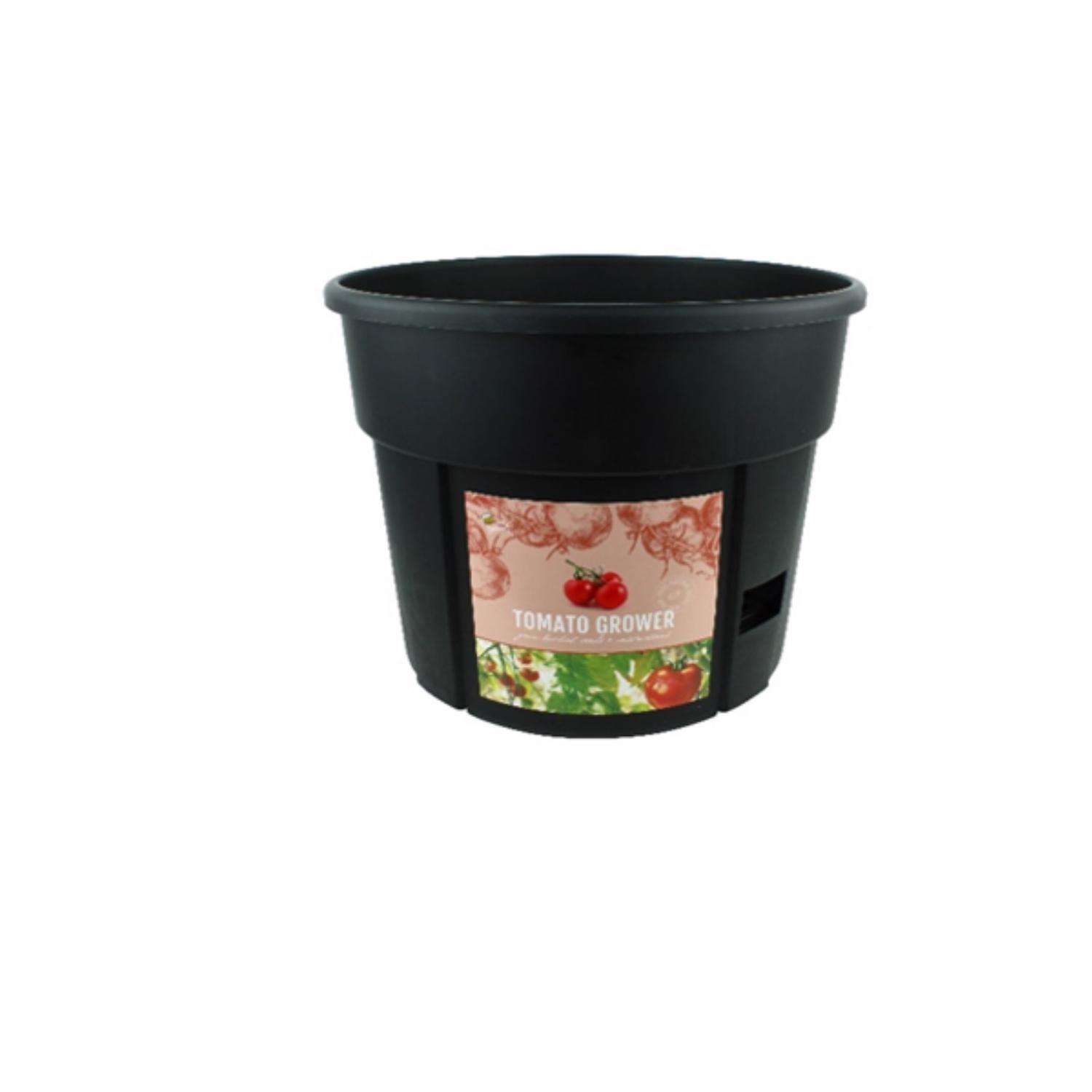  Buzzy Tomato Garden Kit 1 Pk