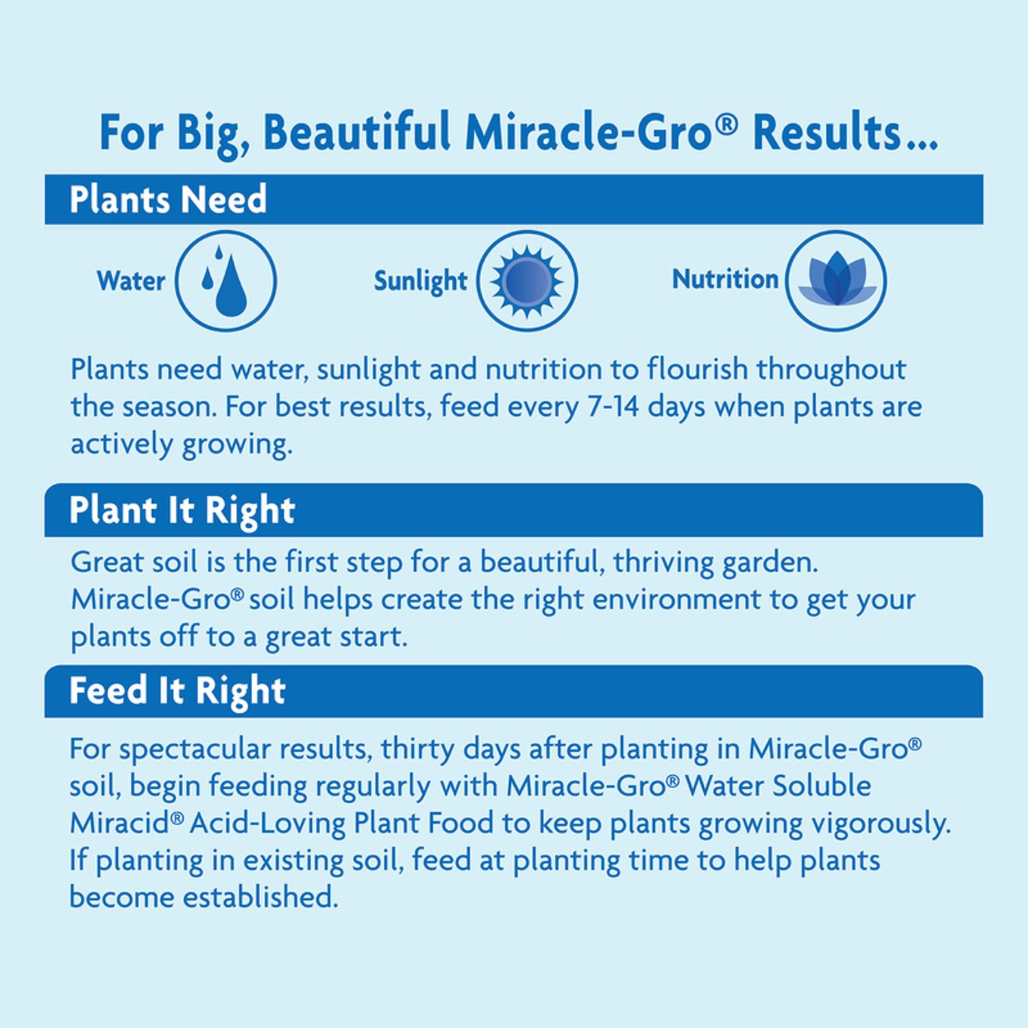  Miracle-Gro Miracid Powder Hibiscus Plant Food 4 Lb