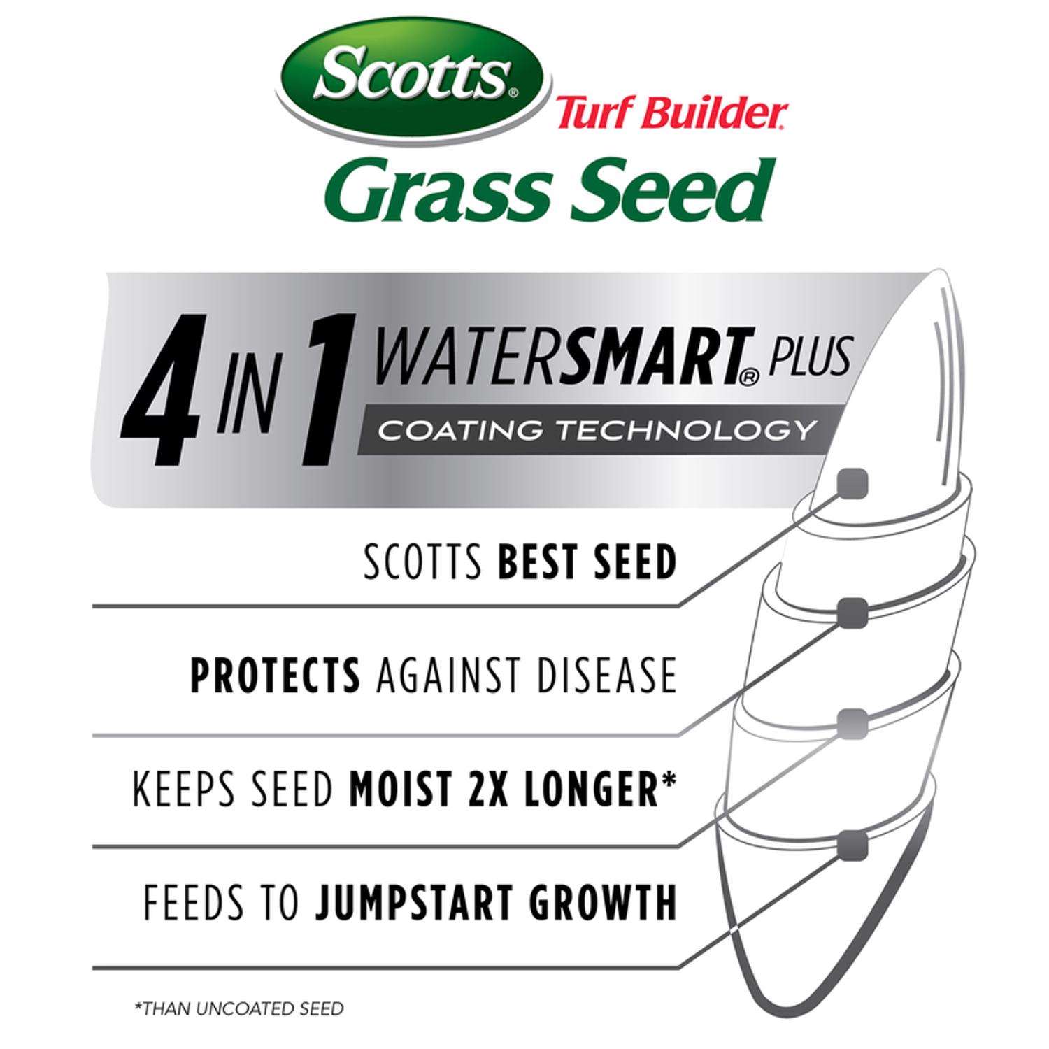 Scotts Turf Builder Tall Fescue Grass Sun Or Shade Grass Seed 3 Lb