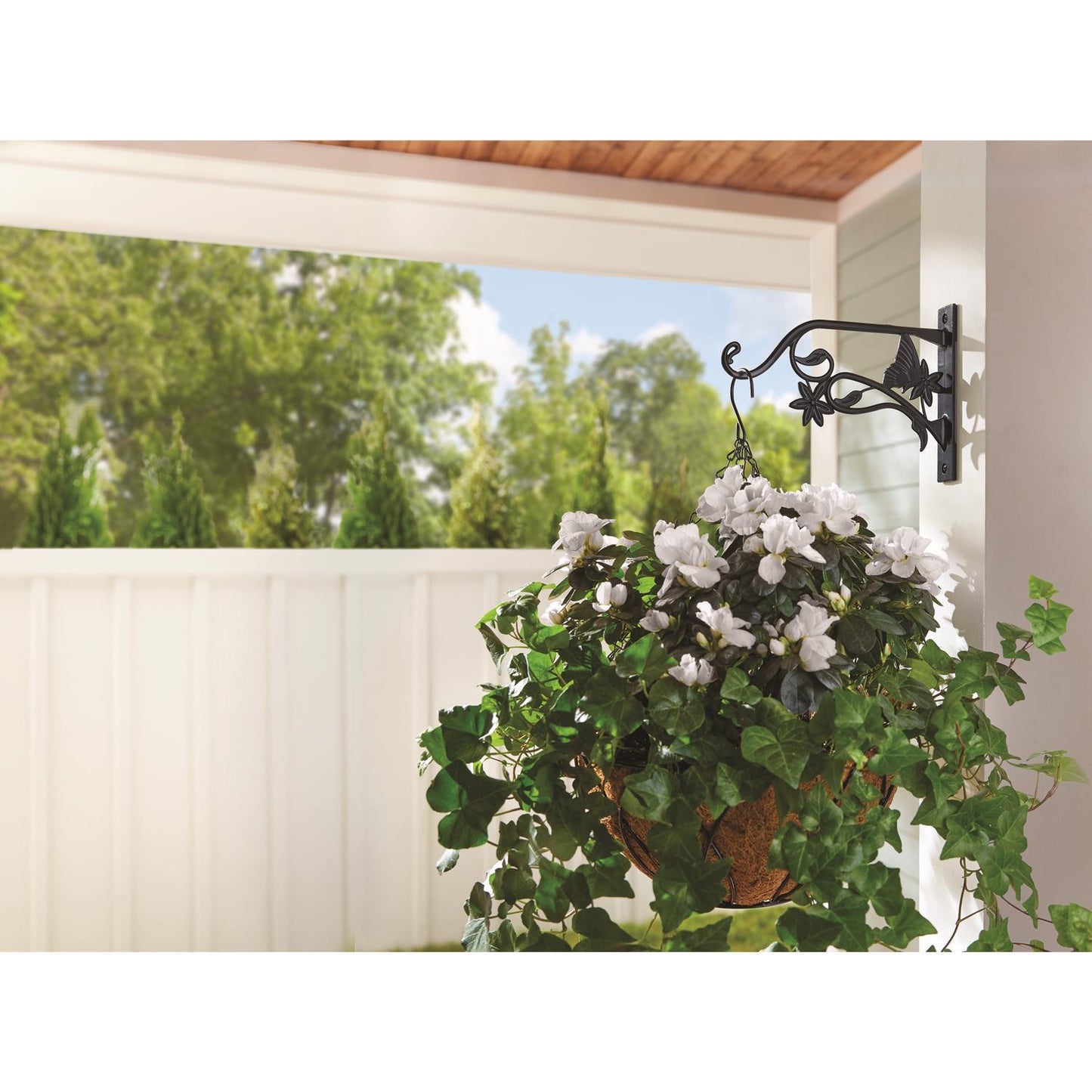  Living Accents Black Aluminum 9 In. H Butterfly Plant Hook 1 Pk