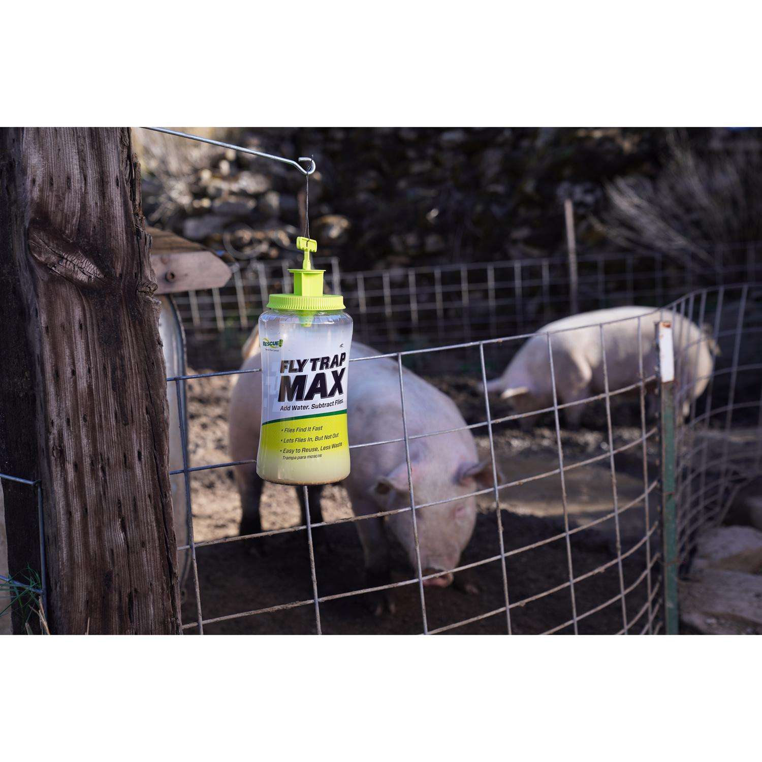  RESCUE Max Fly Trap 1 Pk