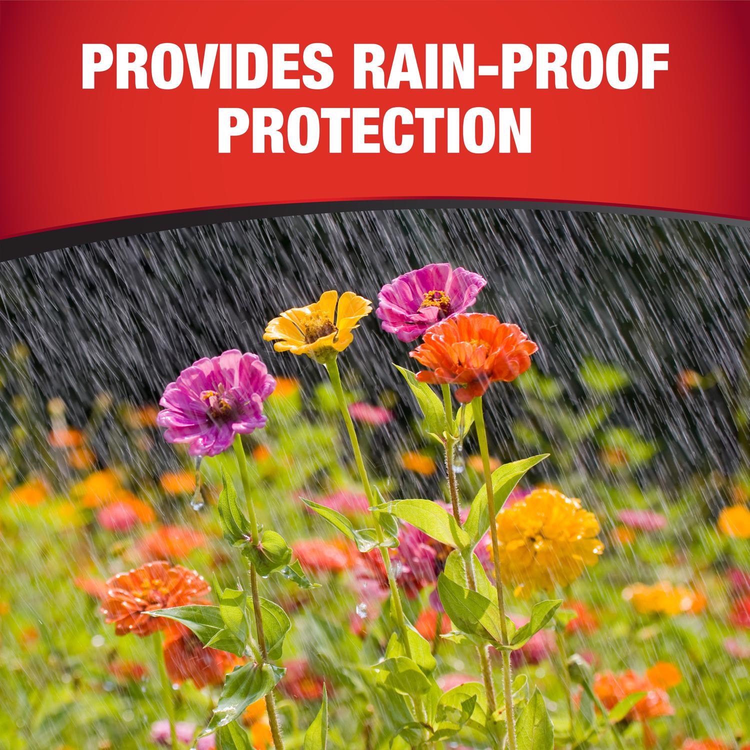  GardenTech Daconil Concentrated Liquid Fungicide 16 Oz