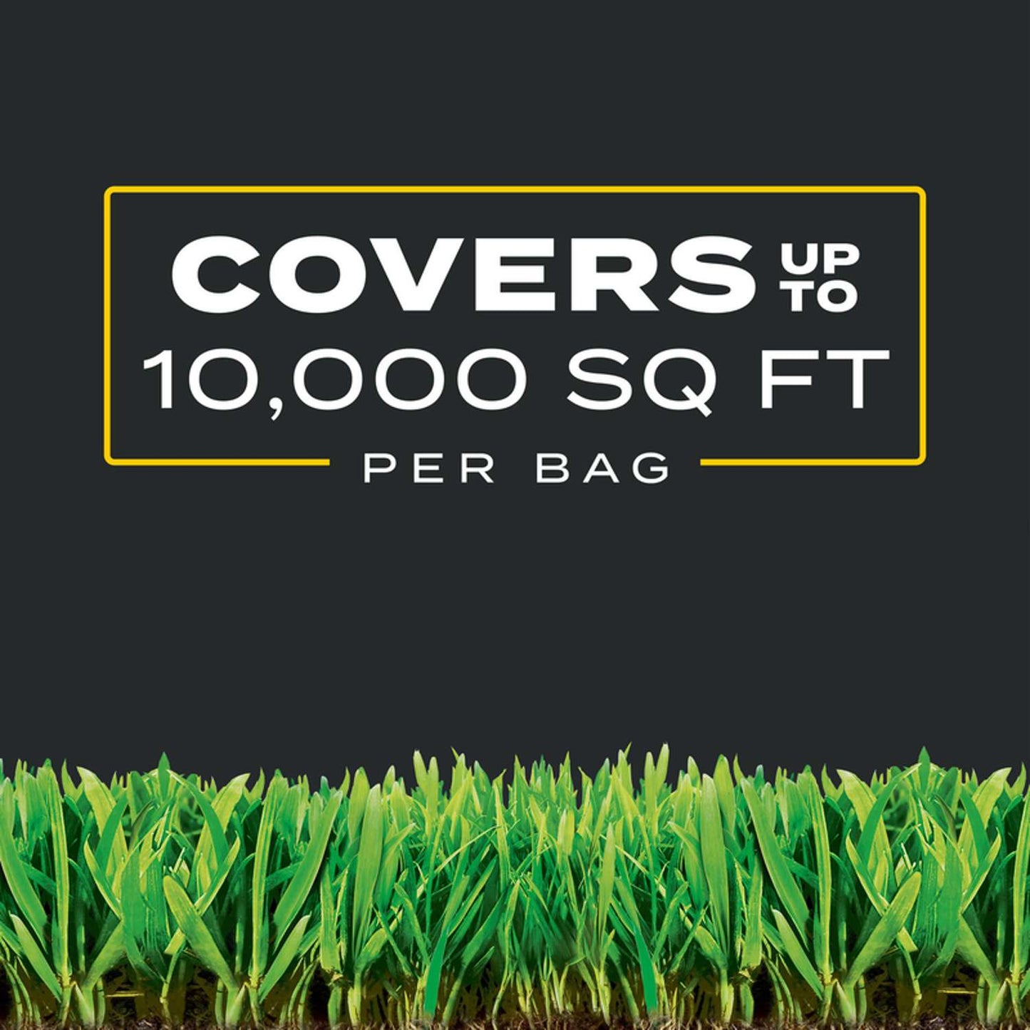  Scotts Turf Builder Triple Action Weed & Feed Lawn Fertilizer For All Grasses 10000 Sq Ft