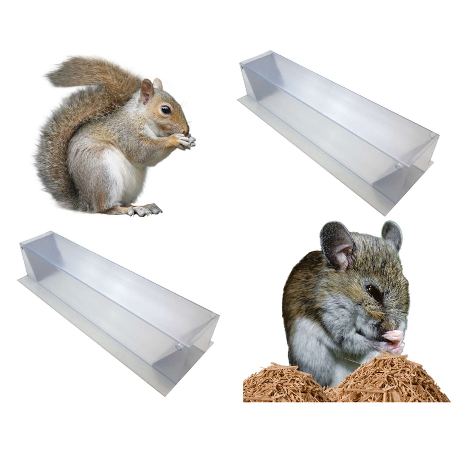  Grandpa Gus's Small Live Catch Animal Trap For Chipmunks 2 Pk