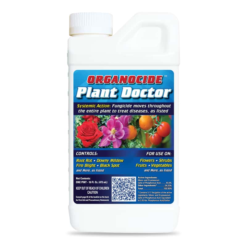  Plant Doctor Organocide Concentrated Liquid Disease And Fungicide Control 16 Oz