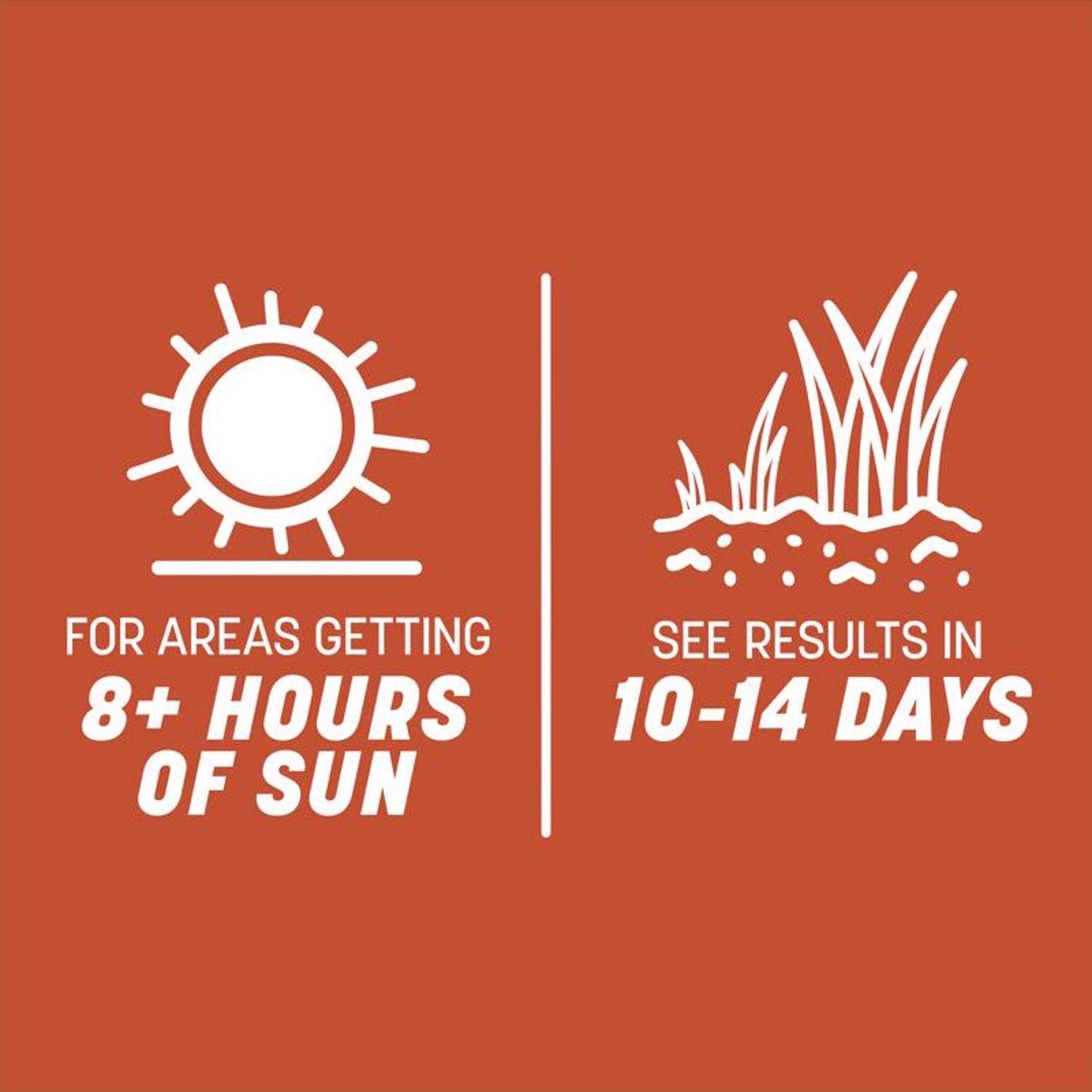  Pennington Smart Seed Texas Bermuda Full Sun Grass Seed And Fertilizer 1.75 Lb