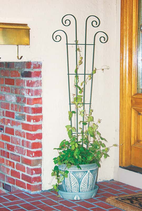  Panacea 48 In. H Black Steel Trellis