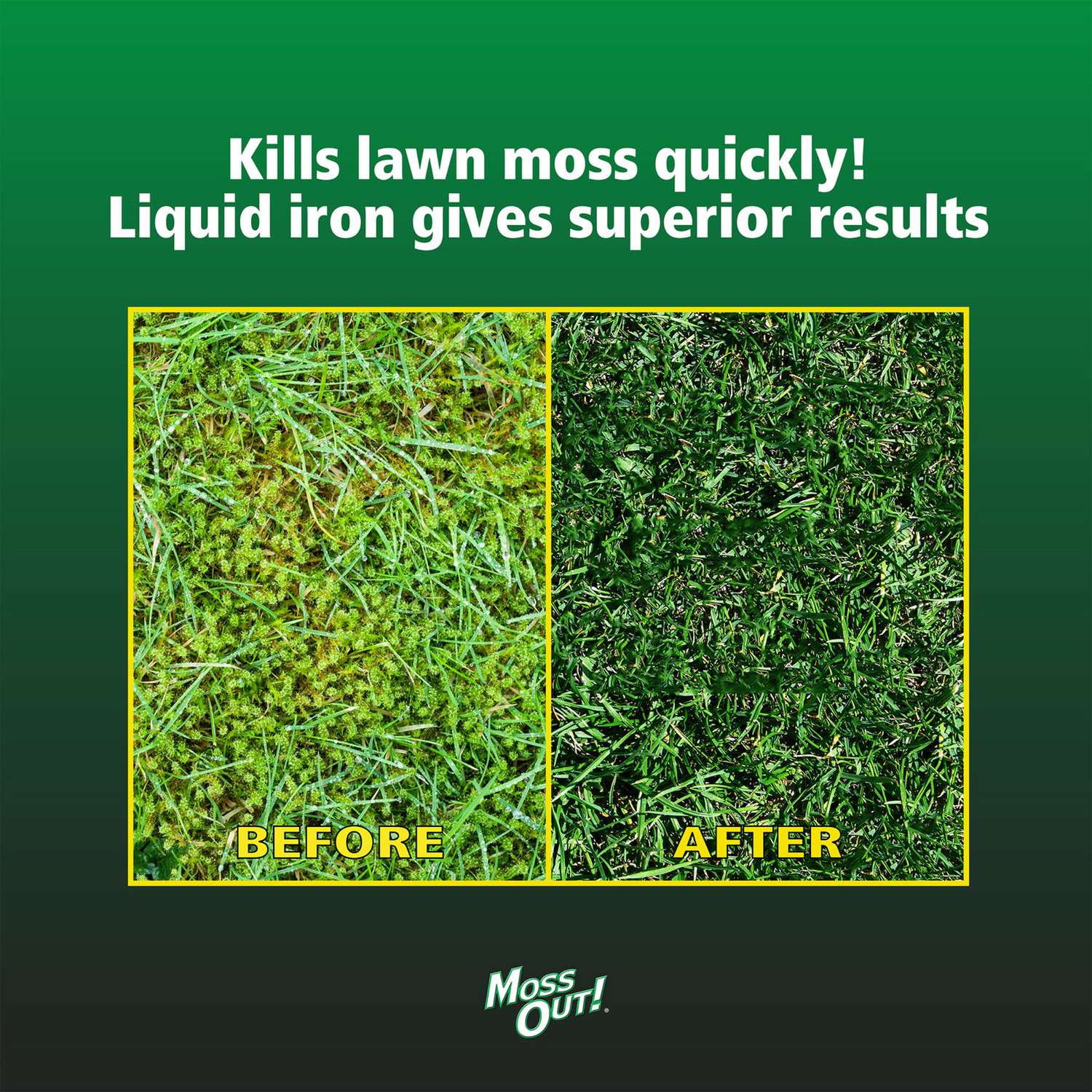  Lilly Miller Moss Out Moss Killer RTU Liquid 1 Gal