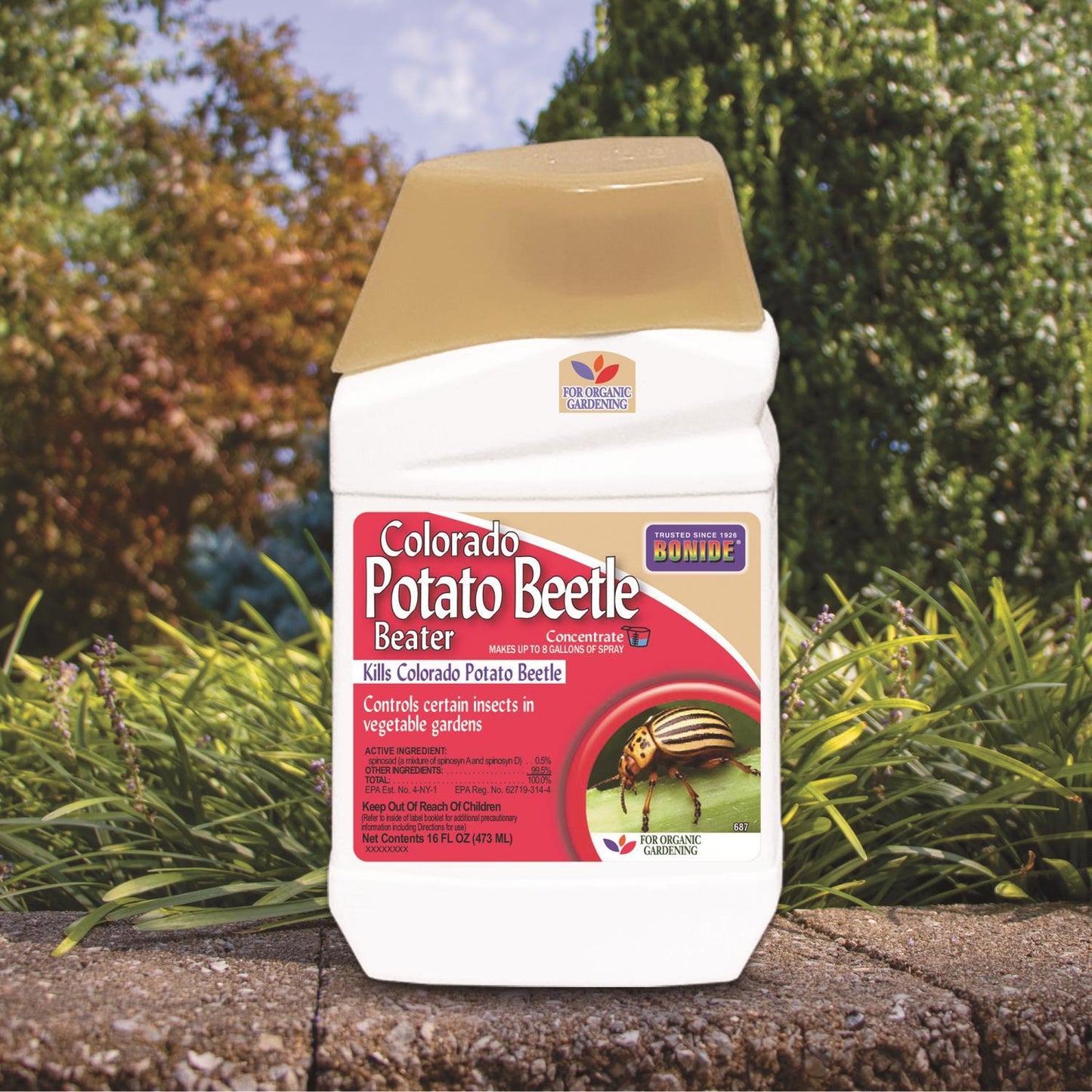  Bonide Colorado Potato Beetle Beater Organic Insect Killer Liquid Concentrate 16 Oz