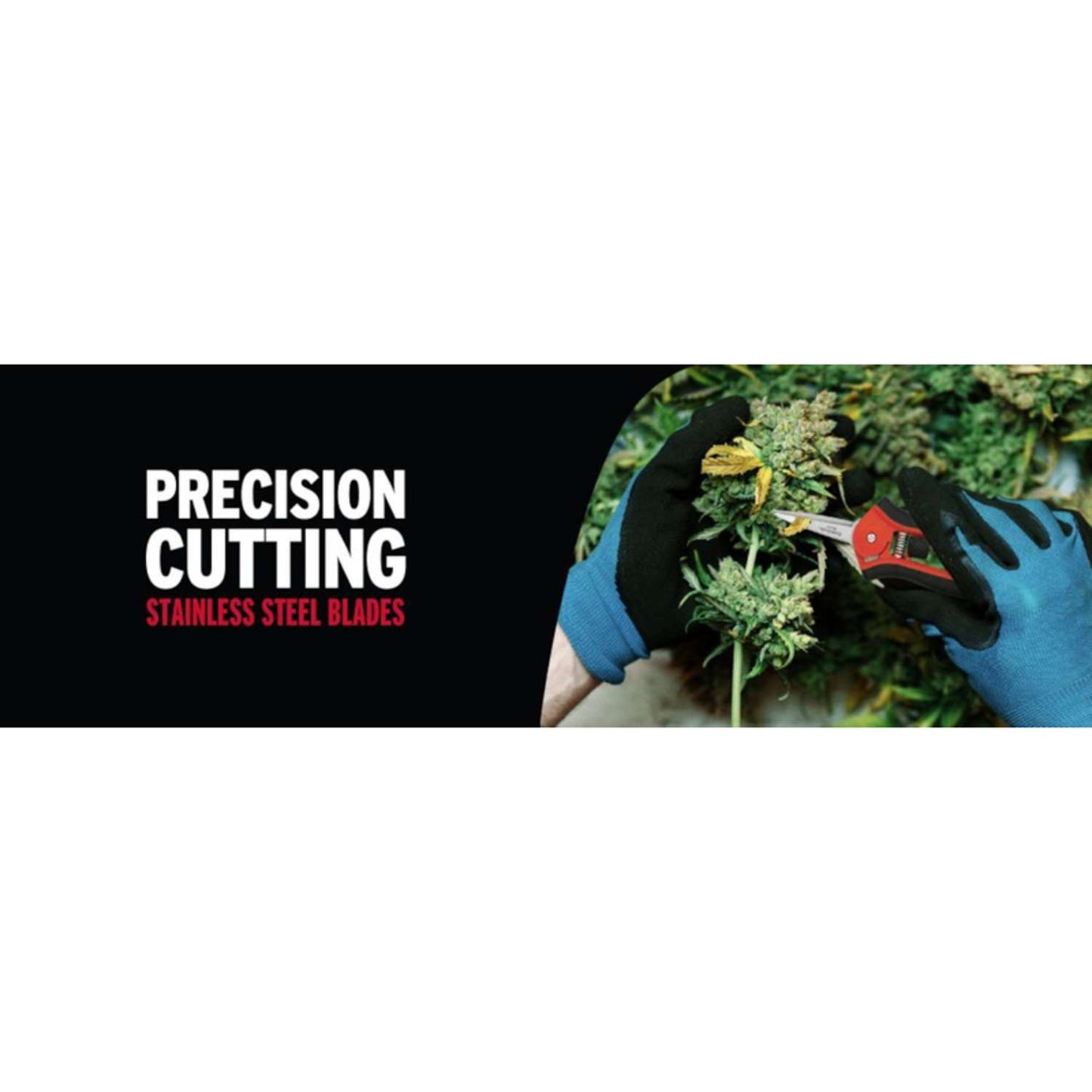  Corona Stainless Steel Floral Snips