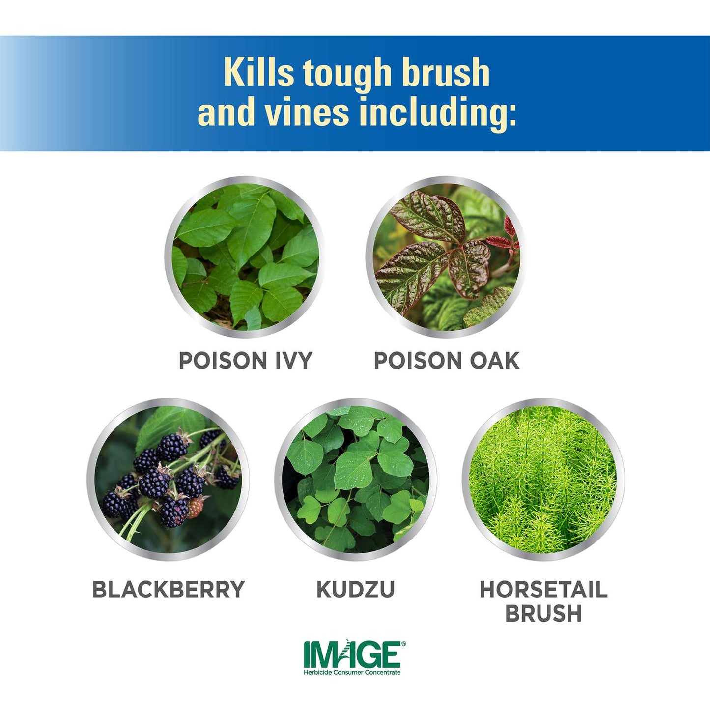  Lilly Miller Image Brush And Vine Killer Concentrate 1 Qt