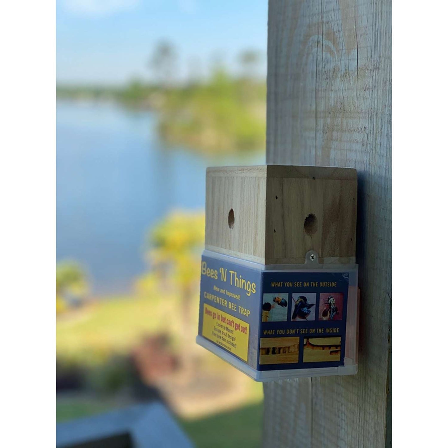  Bees N Things Carpenter Bee Trap