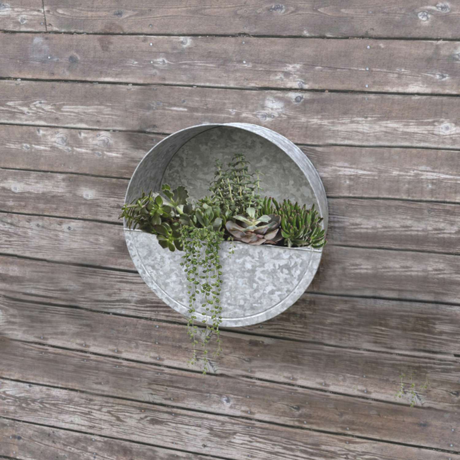  Panacea 14 In. D Metal Wall Planter Galvanized