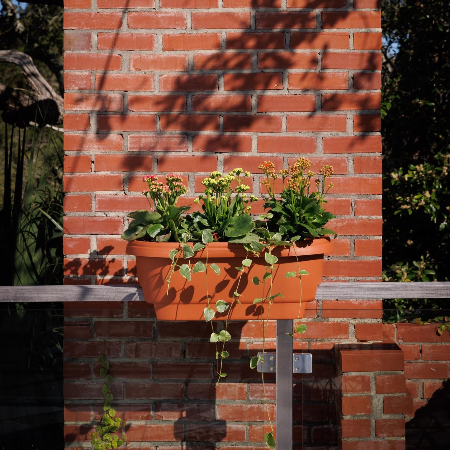  Bloem 9 In. H X 24 In. W X 12 In. D Plastic Deck Rail Planter Terracotta