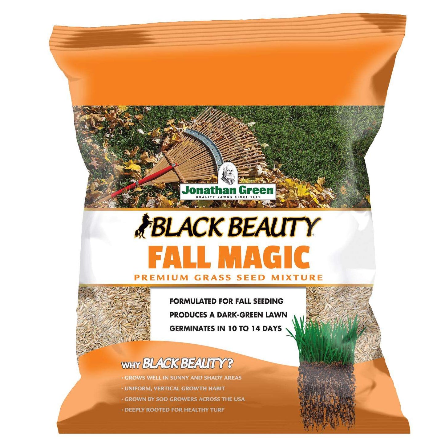  Jonathan Green Black Beauty Fall Magic All Grasses Sun Or Shade Grass Seed 7 Lb
