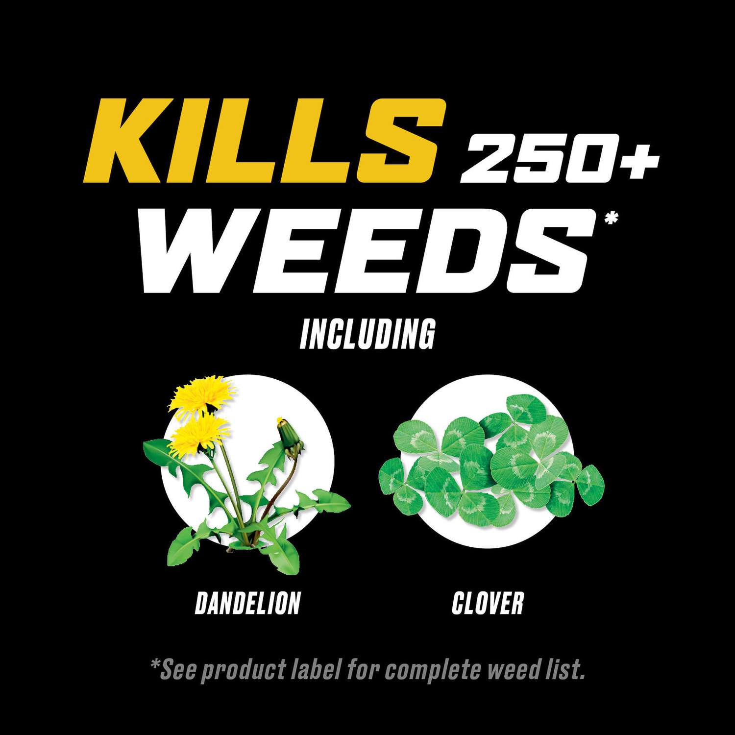  Ortho WeedClear Weed Killer Concentrate 1 Gal