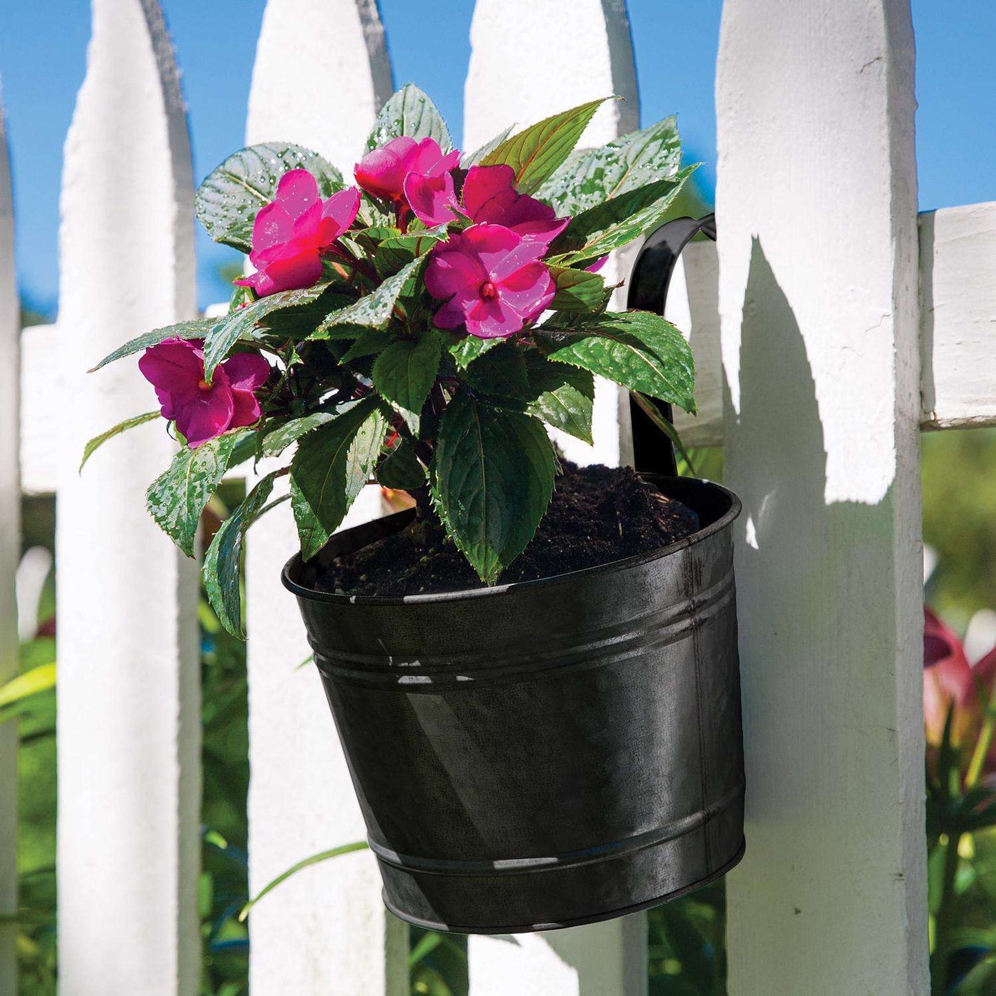  Panacea 10.5 In. H X 8 In. D Metal Over The Rail Planter Black