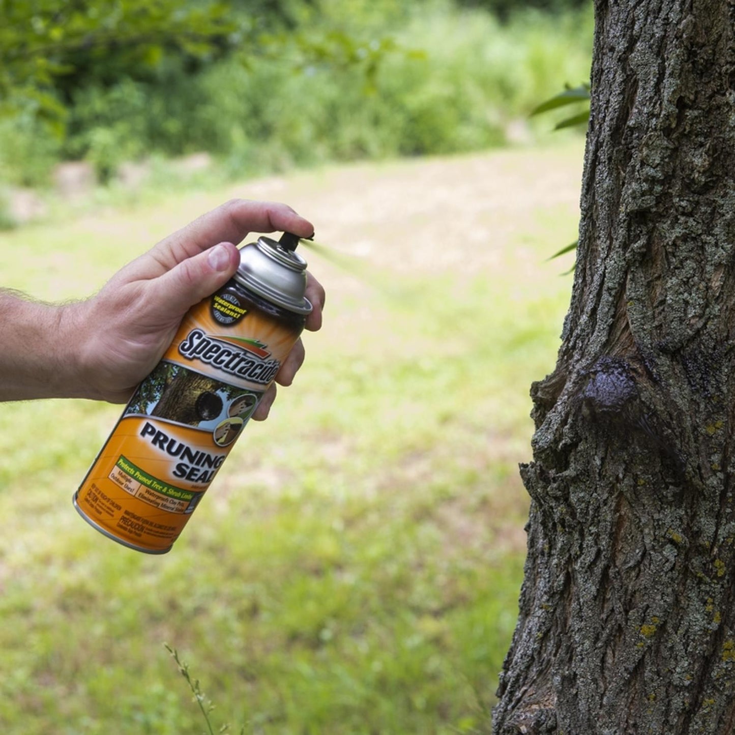  Spectracide Liquid Pruning Seal 13 Oz