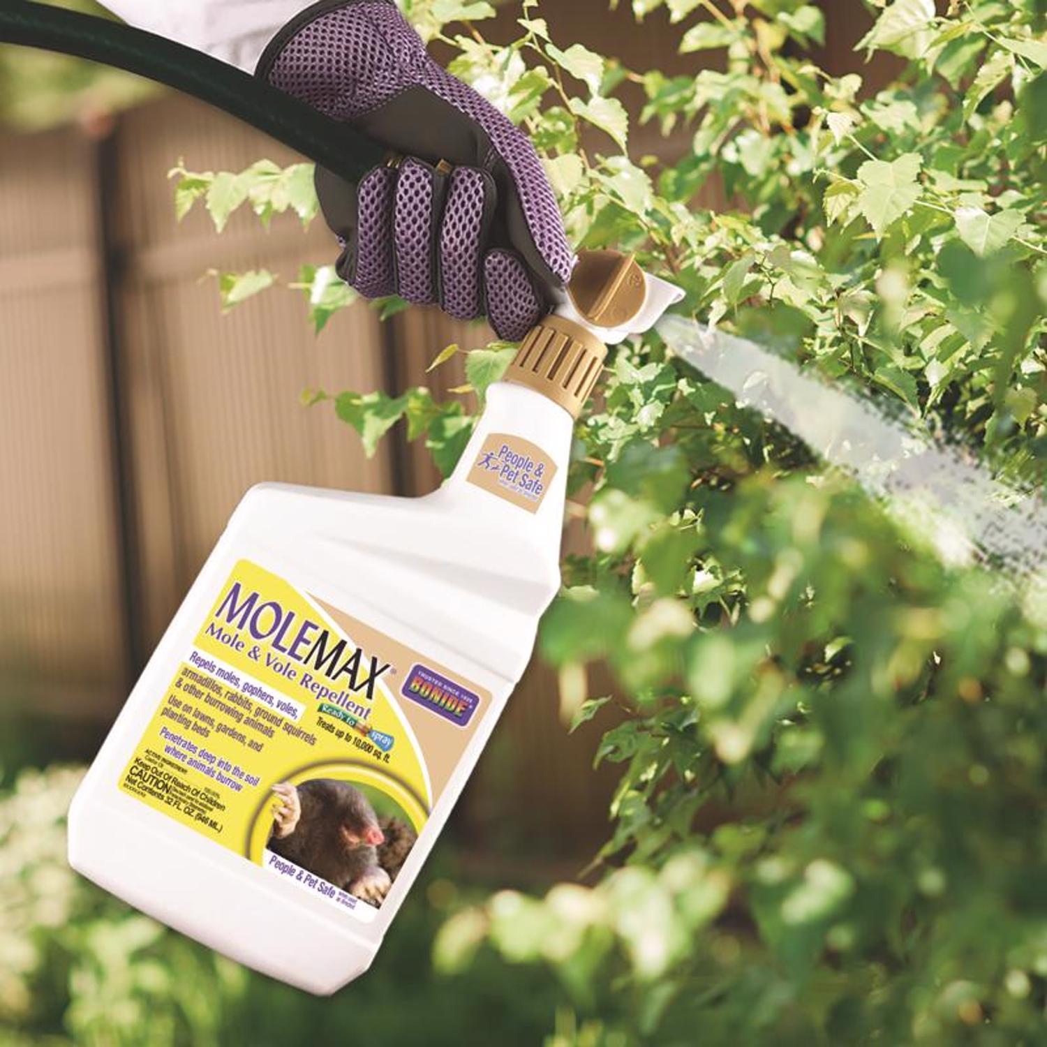  Bonide Molemax Animal Repellent Liquid For Moles And Voles 32 Oz