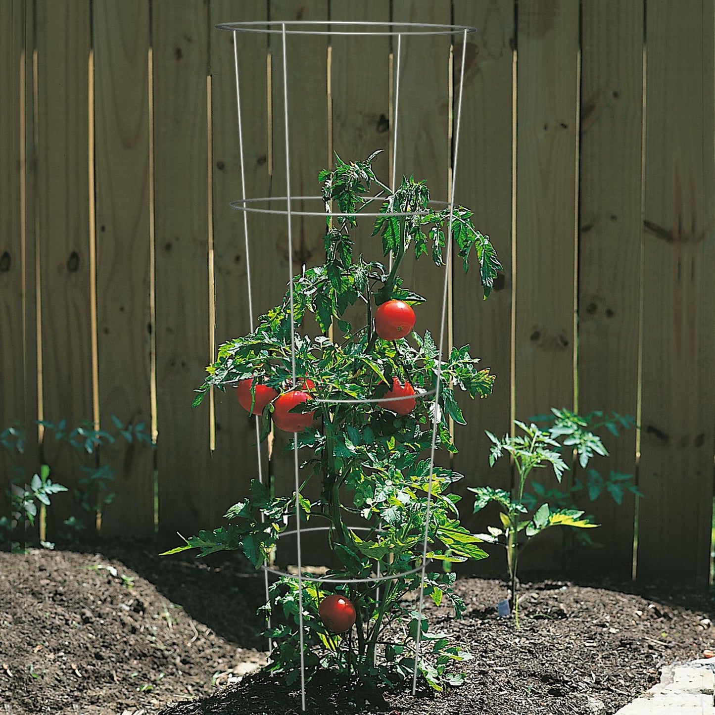  Panacea 60 In. H X 18 In. W Gray Steel Tomato Cage