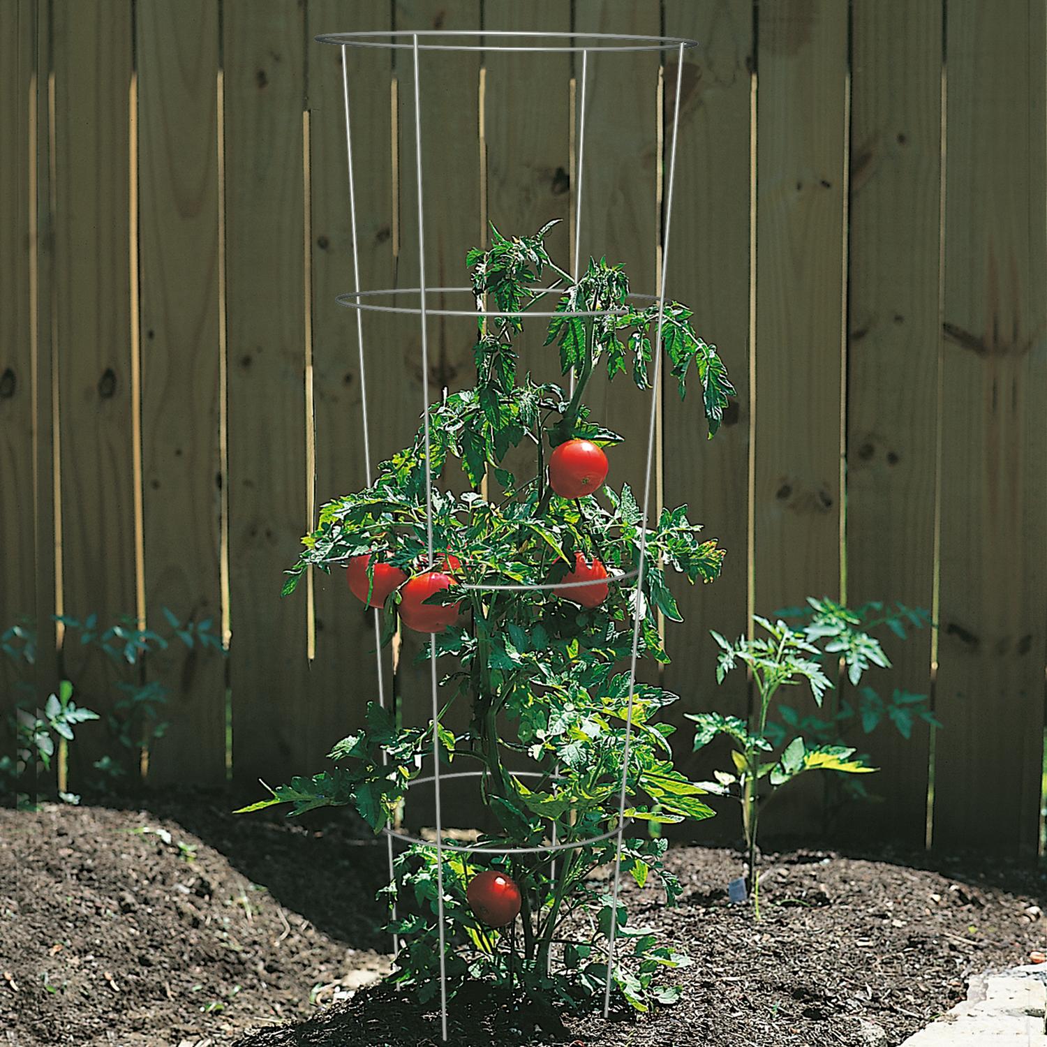  Panacea 60 In. H X 18 In. W Gray Steel Tomato Cage