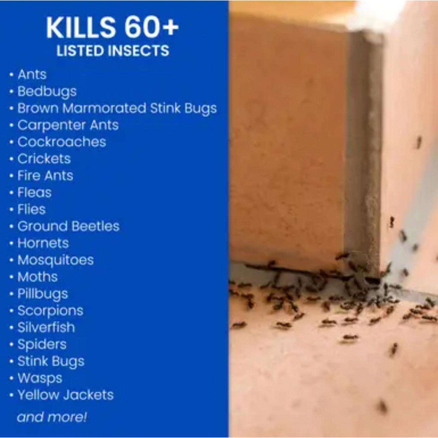  BioAdvanced Plus Germ Killer Insect Killer Liquid 1 Gal