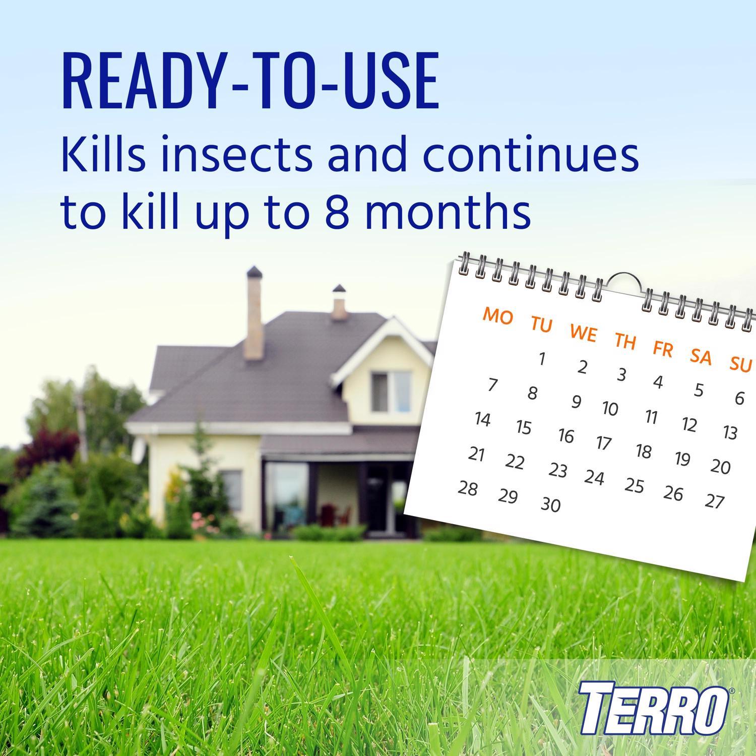  TERRO Ant Killer Dust 1 Lb