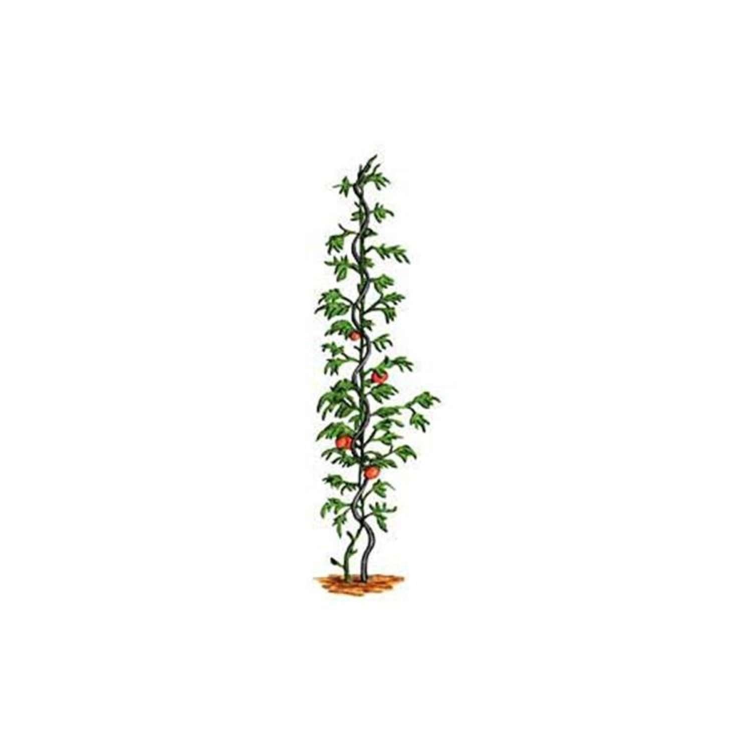  Bosmere 6 Ft. H Green Metal Plant Support