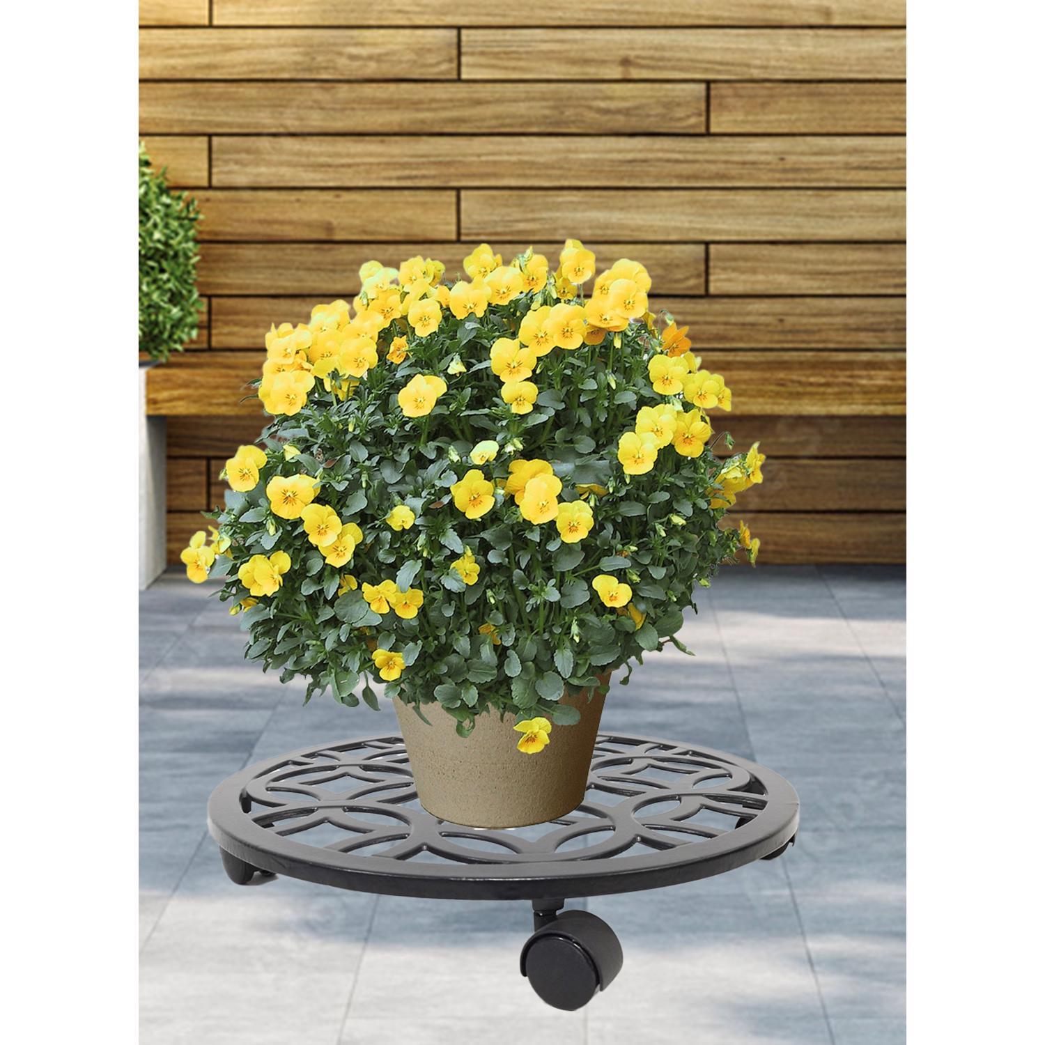  Living Accents 3 In. H Black Iron/Plastic Wheeled Plant Stand