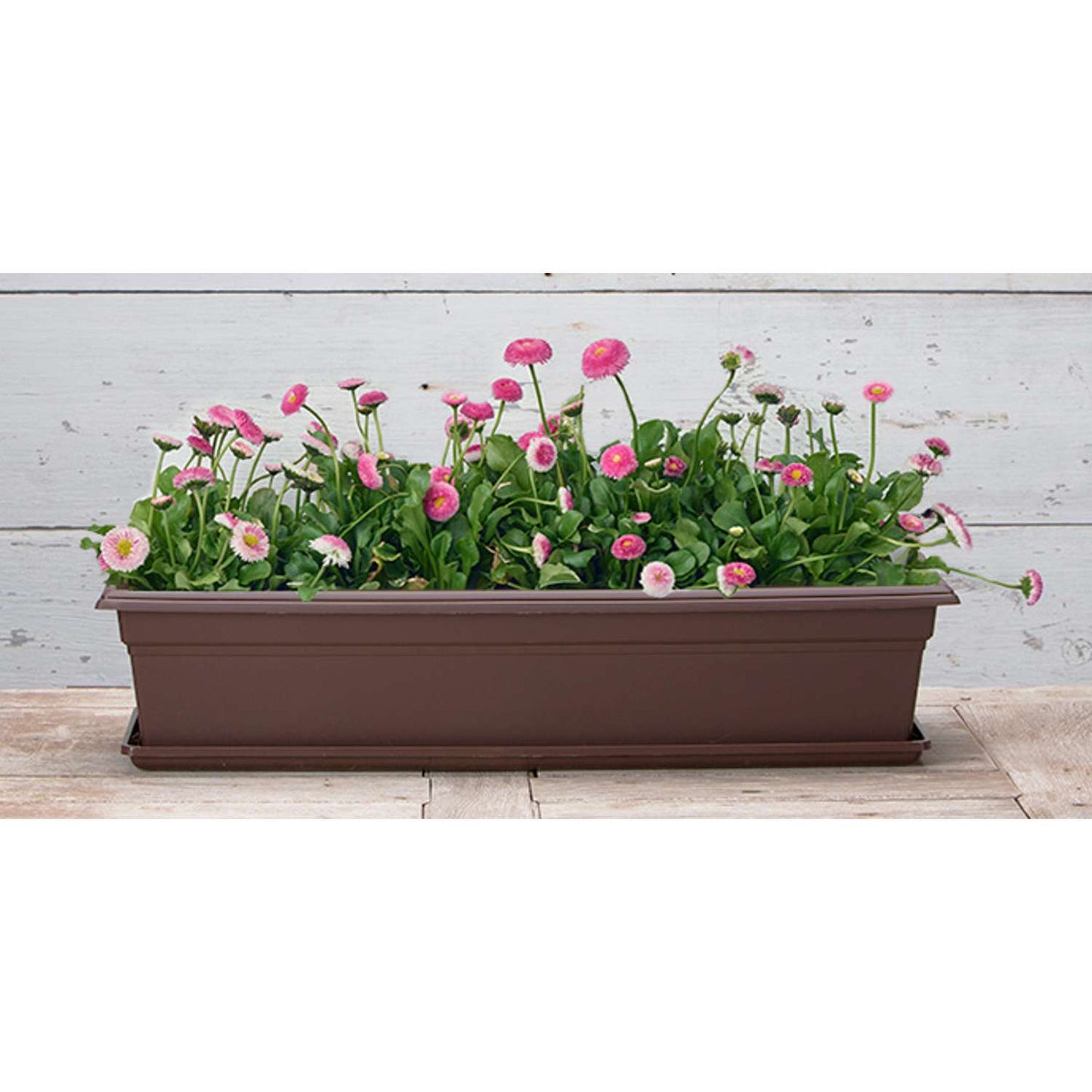  Novelty 6.4 In. H X 35.8 In. W X 8 In. D Plastic Countryside Flowerbox Flower Box Brown
