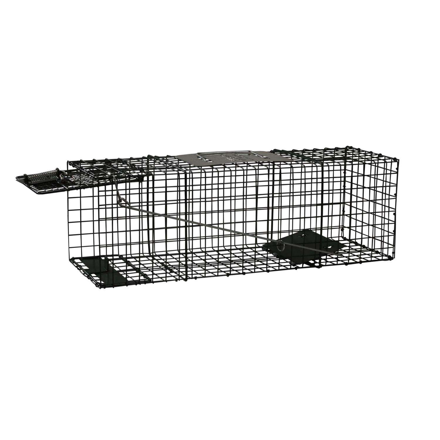  Intruder Relocator Extra Large Live Catch Animal Trap For Foxes 1 Pk
