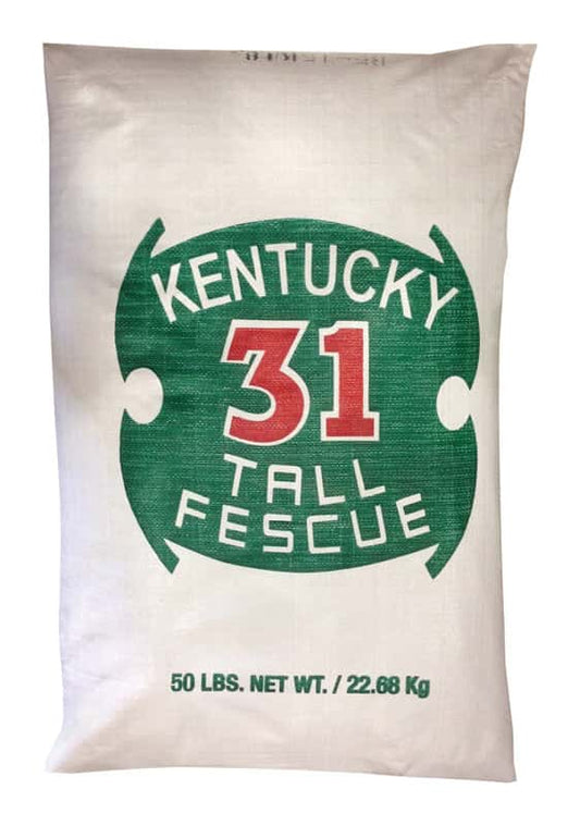  Barenbrug Kentucky 31 Tall Fescue Grass Full Sun/Medium Shade Grass Seed 50 Lb