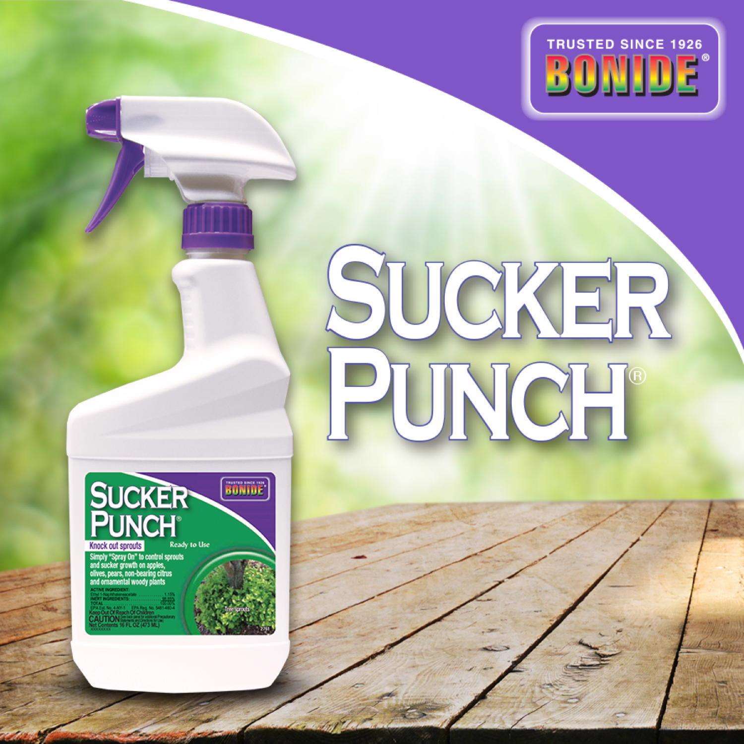  Bonide Sucker Punch Tree Roots Killer RTU Liquid 16 Oz