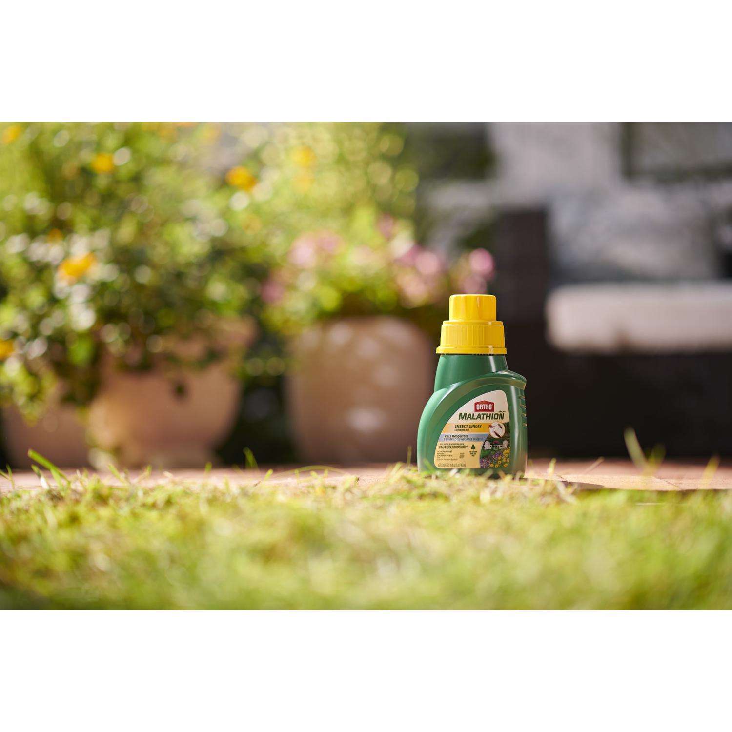  Ortho MAX Malathion Insect Killer Liquid Concentrate 16 Oz