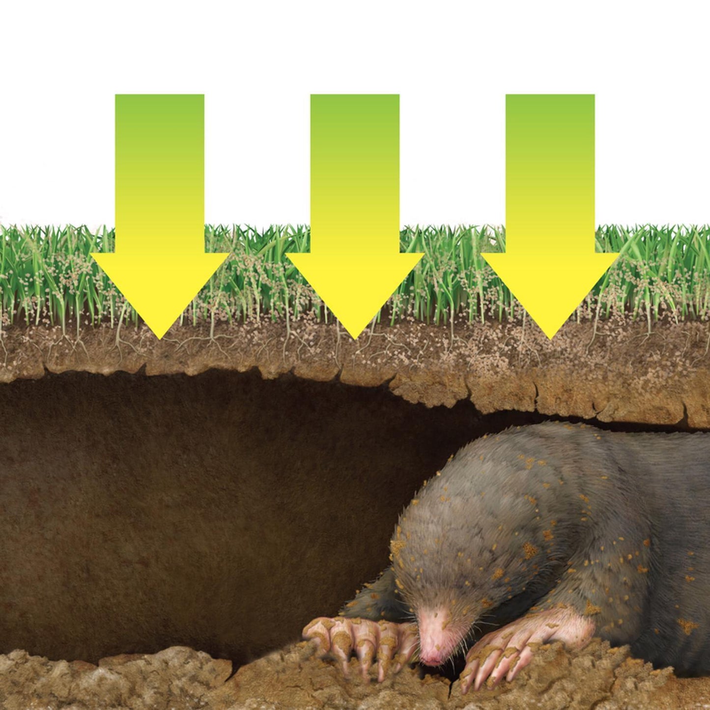  Victor Dual Action Animal Repellent Granules For Gophers And Moles 10 Lb