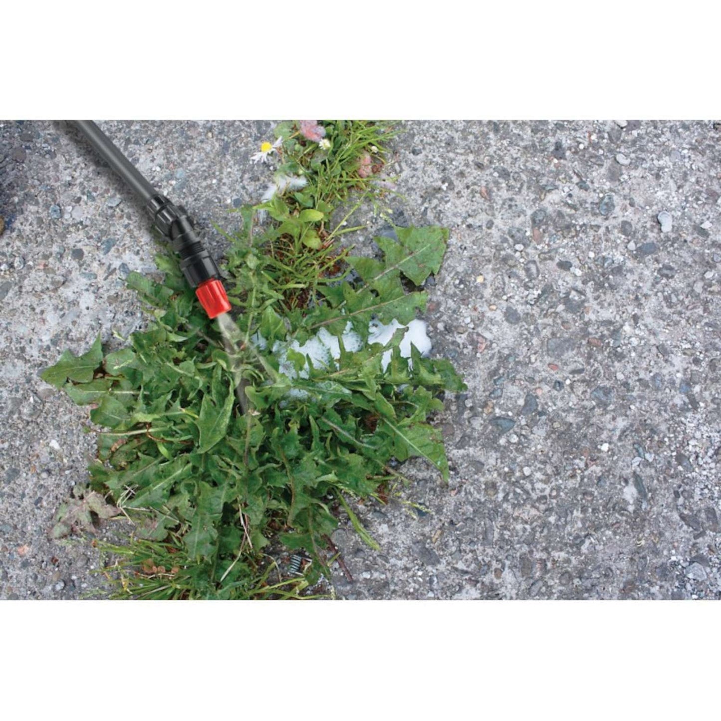  Solo Farm And Landscape 2 Gal Wand Hand Held Sprayer