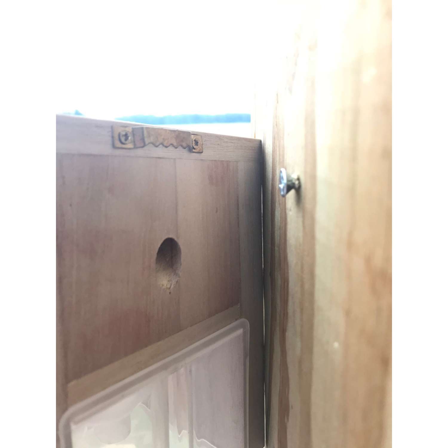  Bees N Things Carpenter Bee Trap