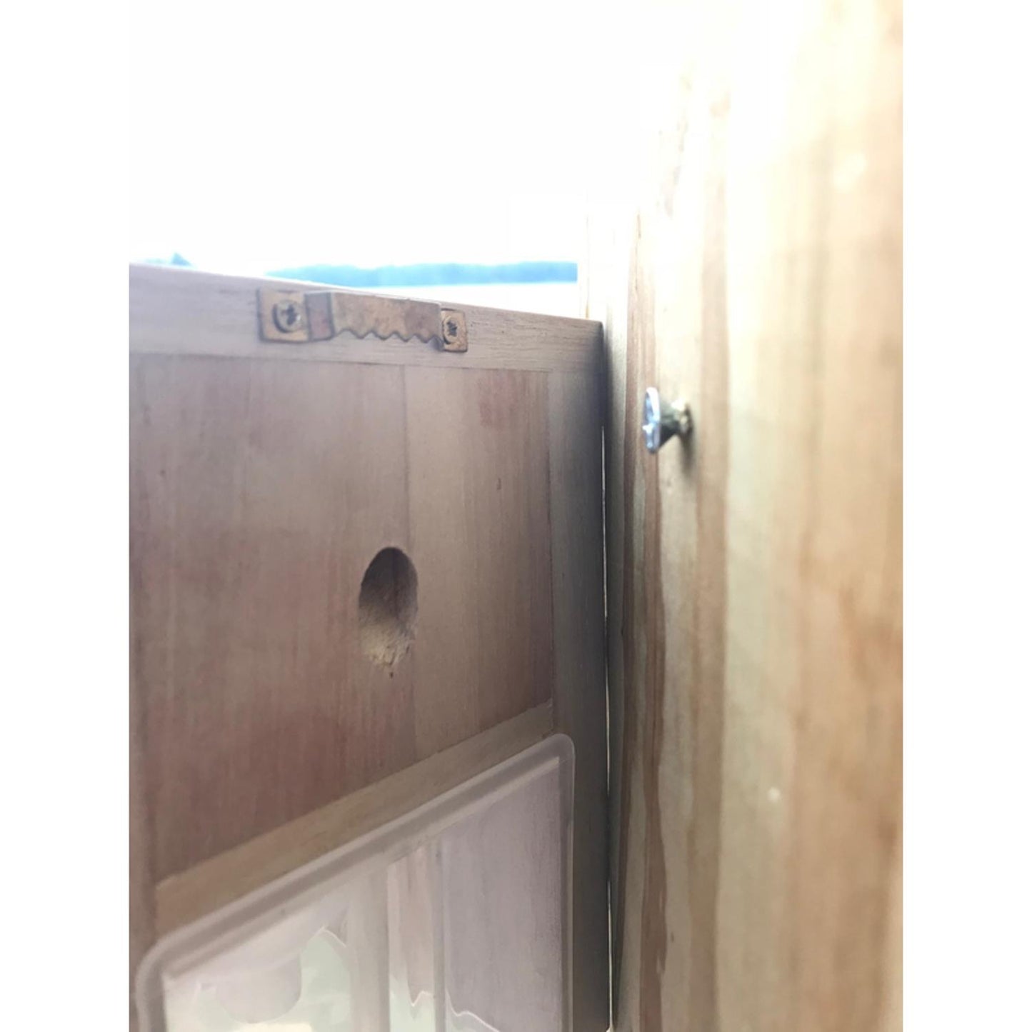  Bees N Things Carpenter Bee Trap
