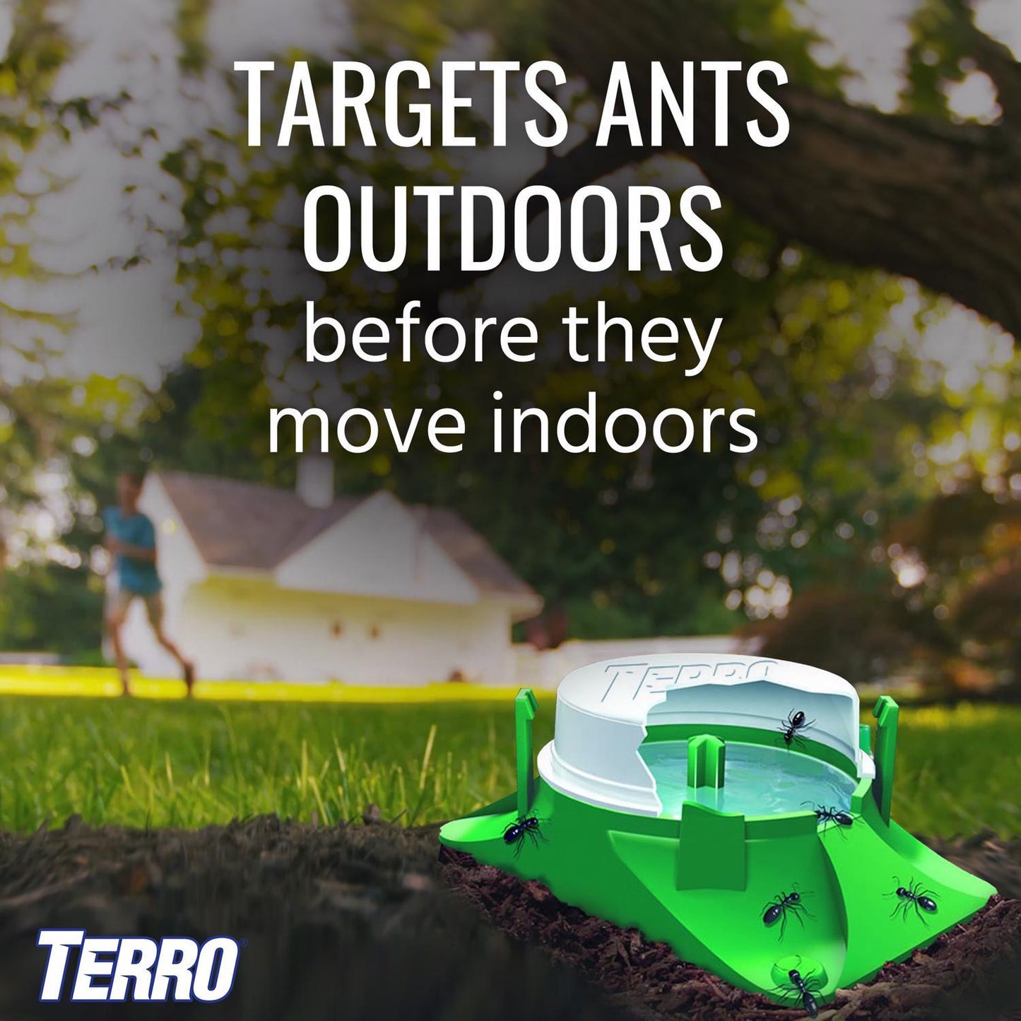  TERRO Ant Bait 4 Pk