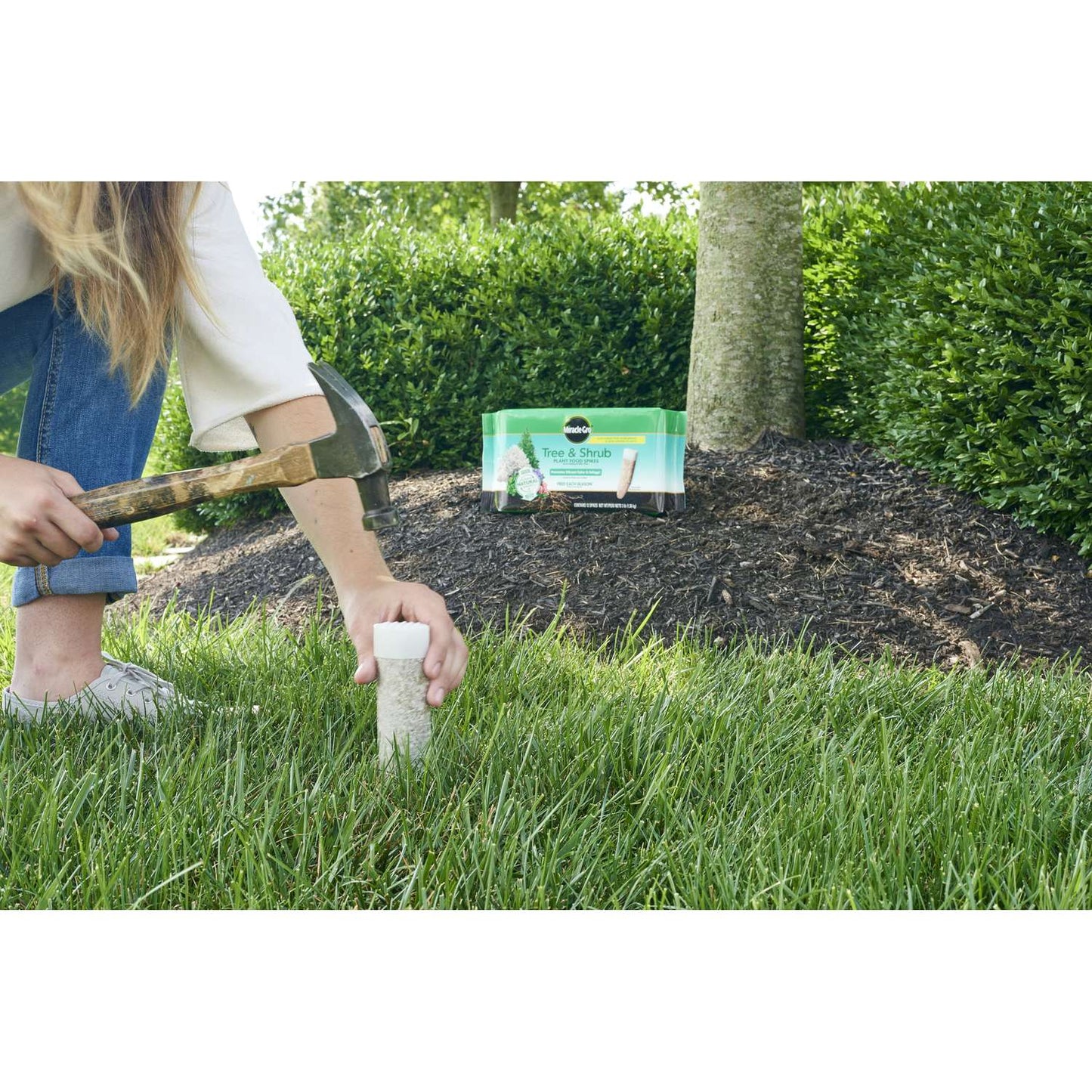  Miracle-Gro Spikes Plant Food 12 Pk