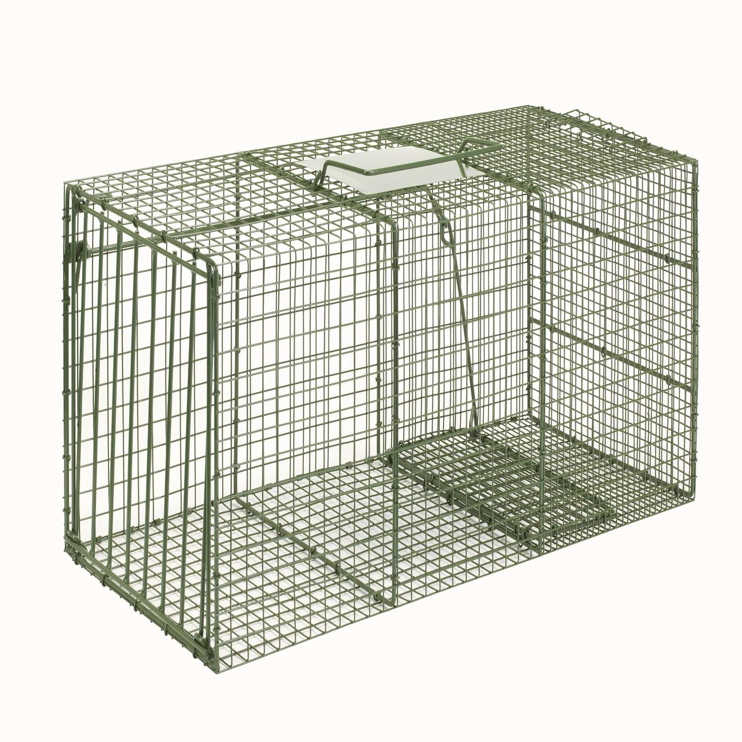  Duke Extra Large Cage Trap For Raccoons 1 Pk