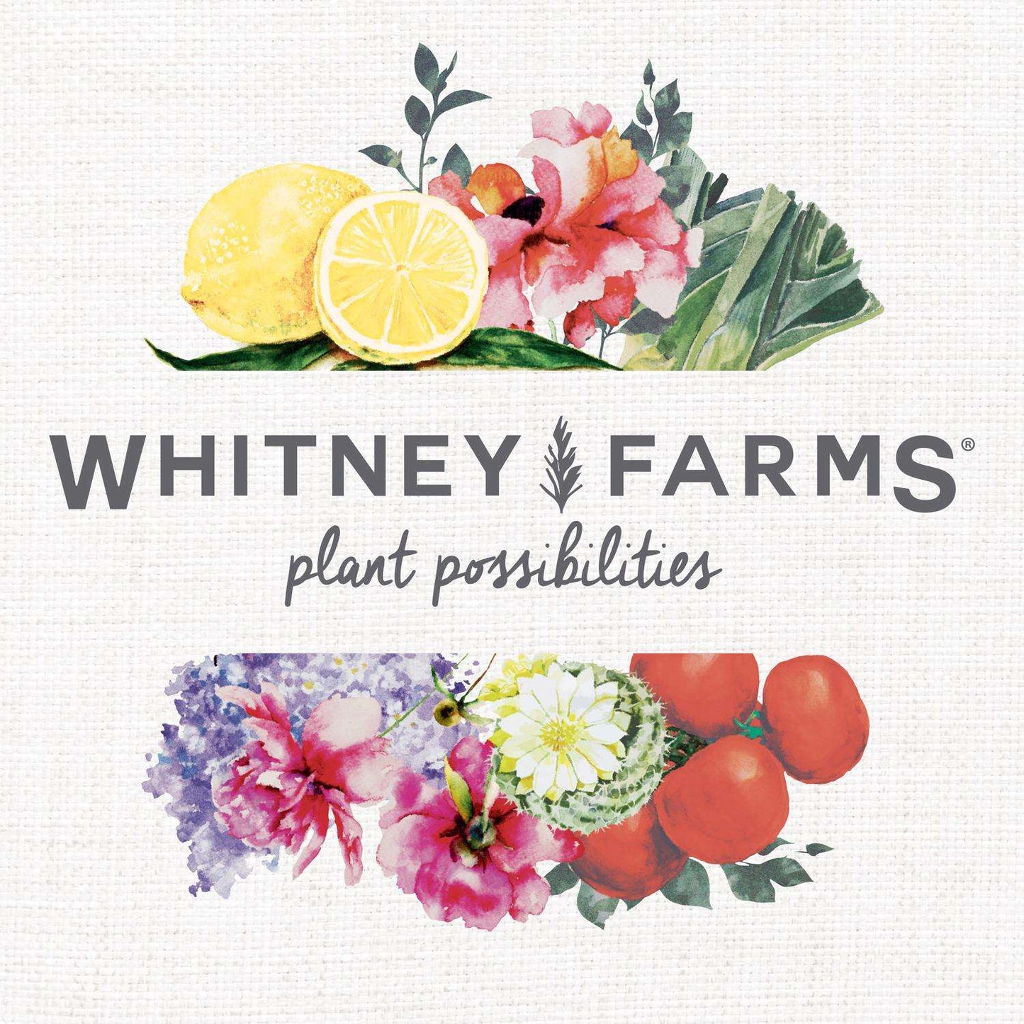  Whitney Farms Organic Granules All Purpose Plant Food 4 Lb