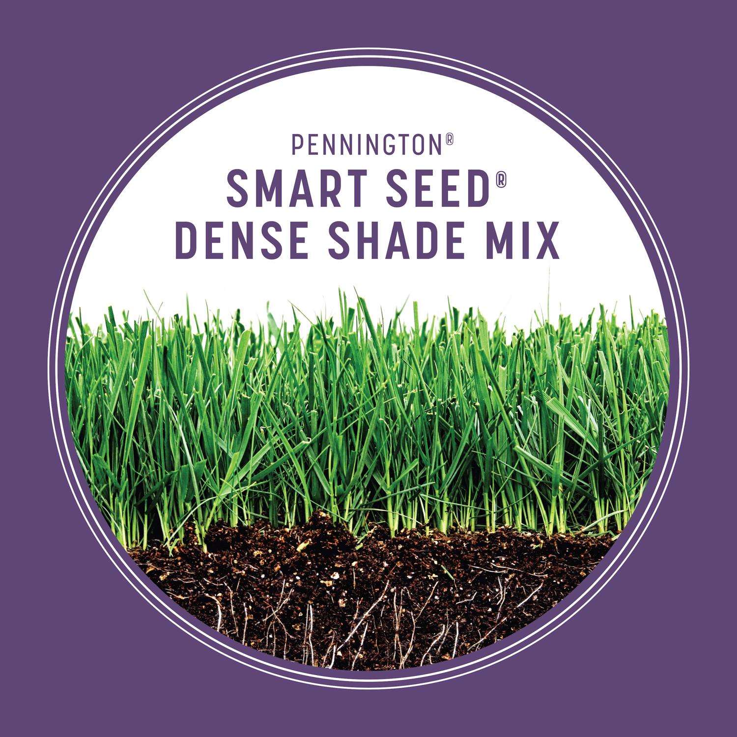  Pennington Smart Seed Mixed Dense Shade Grass Seed And Fertilizer 3 Lb