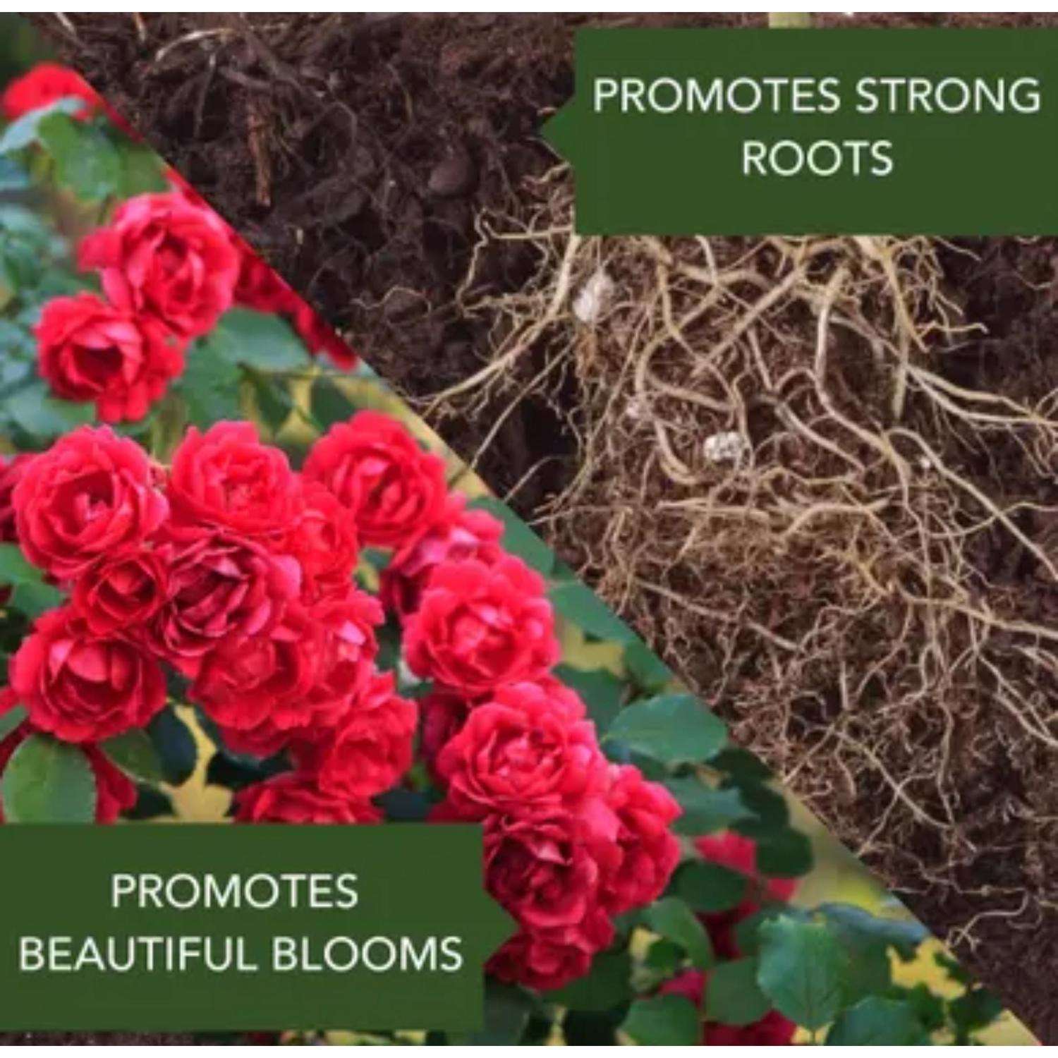  BioAdvanced 2-in-1 Systemic Roses And Flowers 6-9-6 Rose & Flower Fertilizer/Insecticide 10 Lb